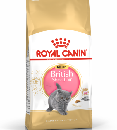 ROYAL CANIN British Shorthair Kitten karma sucha dla kociąt