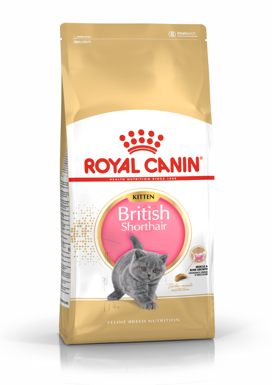 ROYAL CANIN British Shorthair Kitten karma sucha dla kociąt