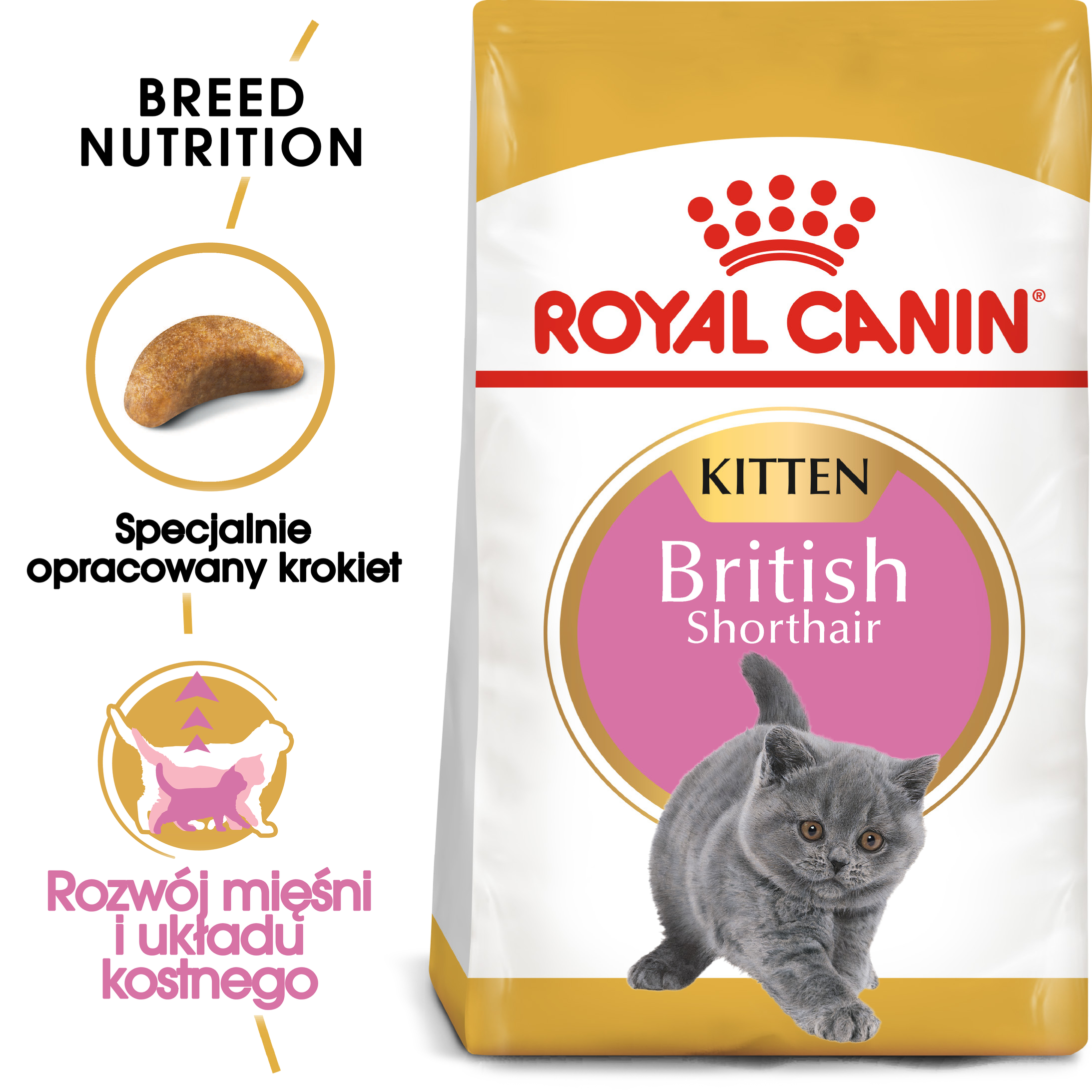 ROYAL CANIN British Shorthair Kitten karma sucha dla kociąt - Image 2