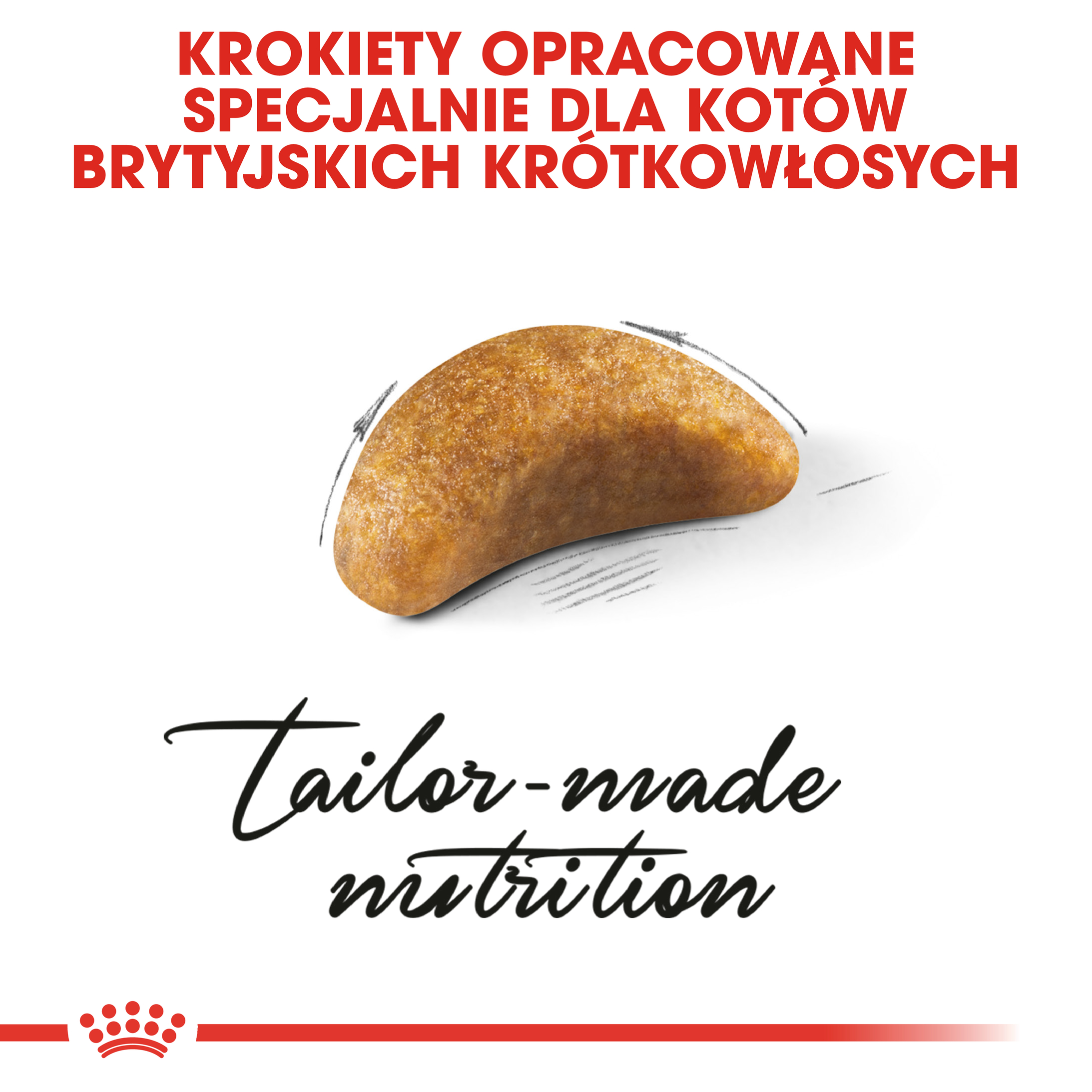 ROYAL CANIN British Shorthair Kitten karma sucha dla kociąt - Image 4