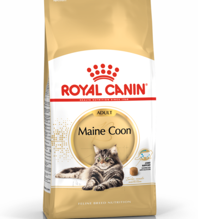 ROYAL CANIN Maine Coon Adult  karma sucha dla kotów dorosłych rasy maine coon