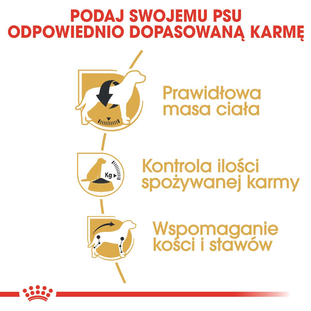 ROYAL CANIN® Beagle Adult karma sucha dla psów dorosłych rasy beagle 12 kg - Image 5