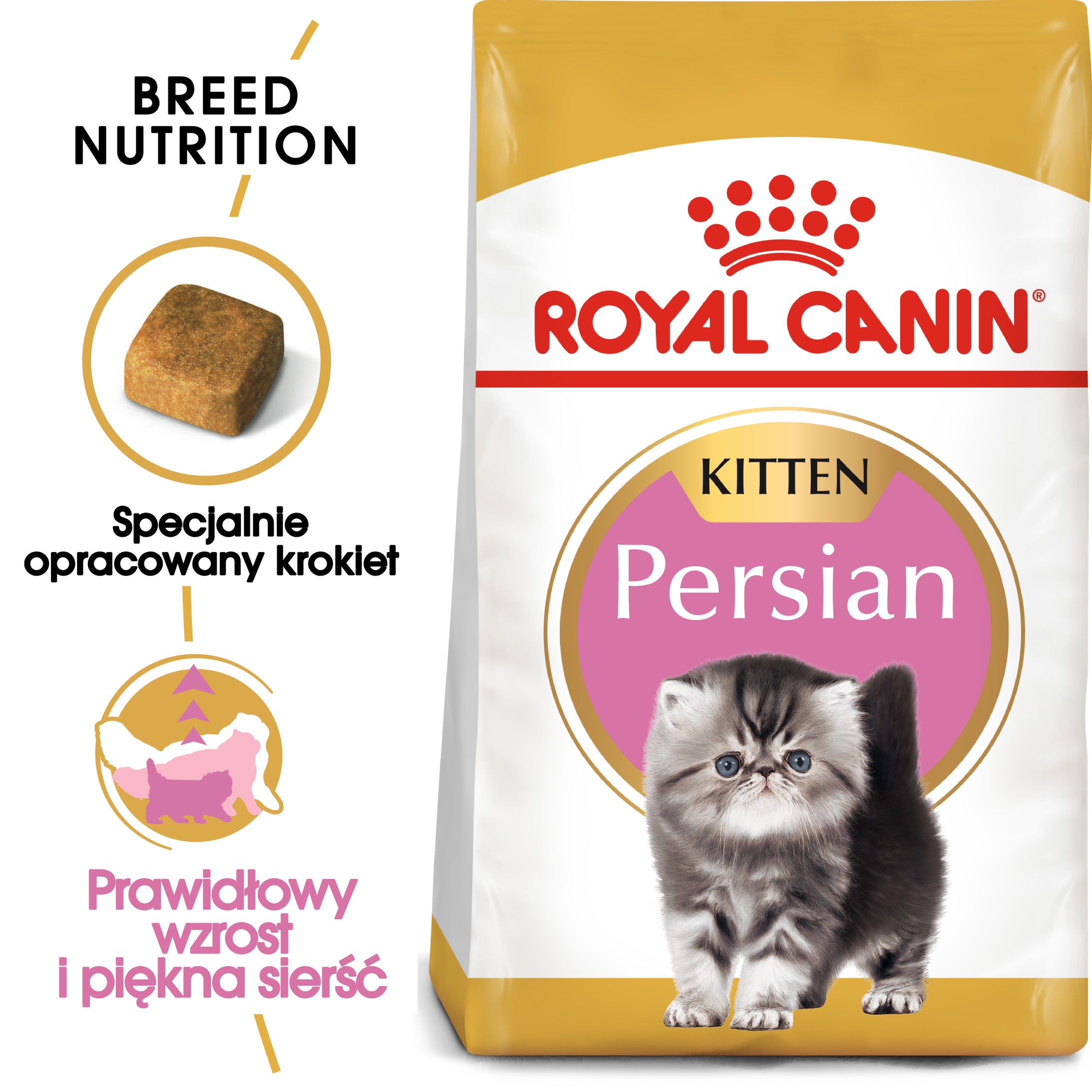 ROYAL CANIN Persian Kitten karma sucha dla kociąt