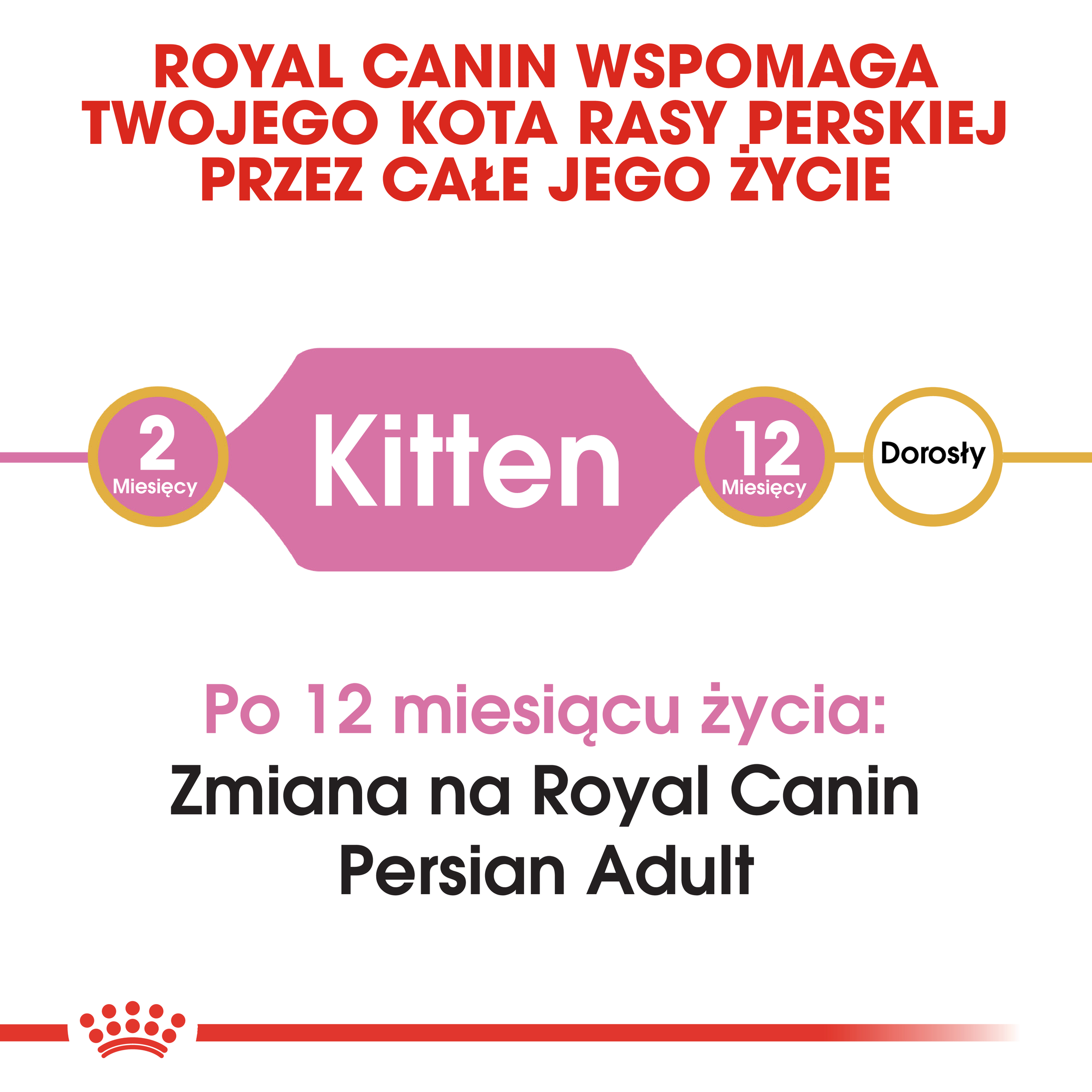 ROYAL CANIN Persian Kitten karma sucha dla kociąt - Image 4