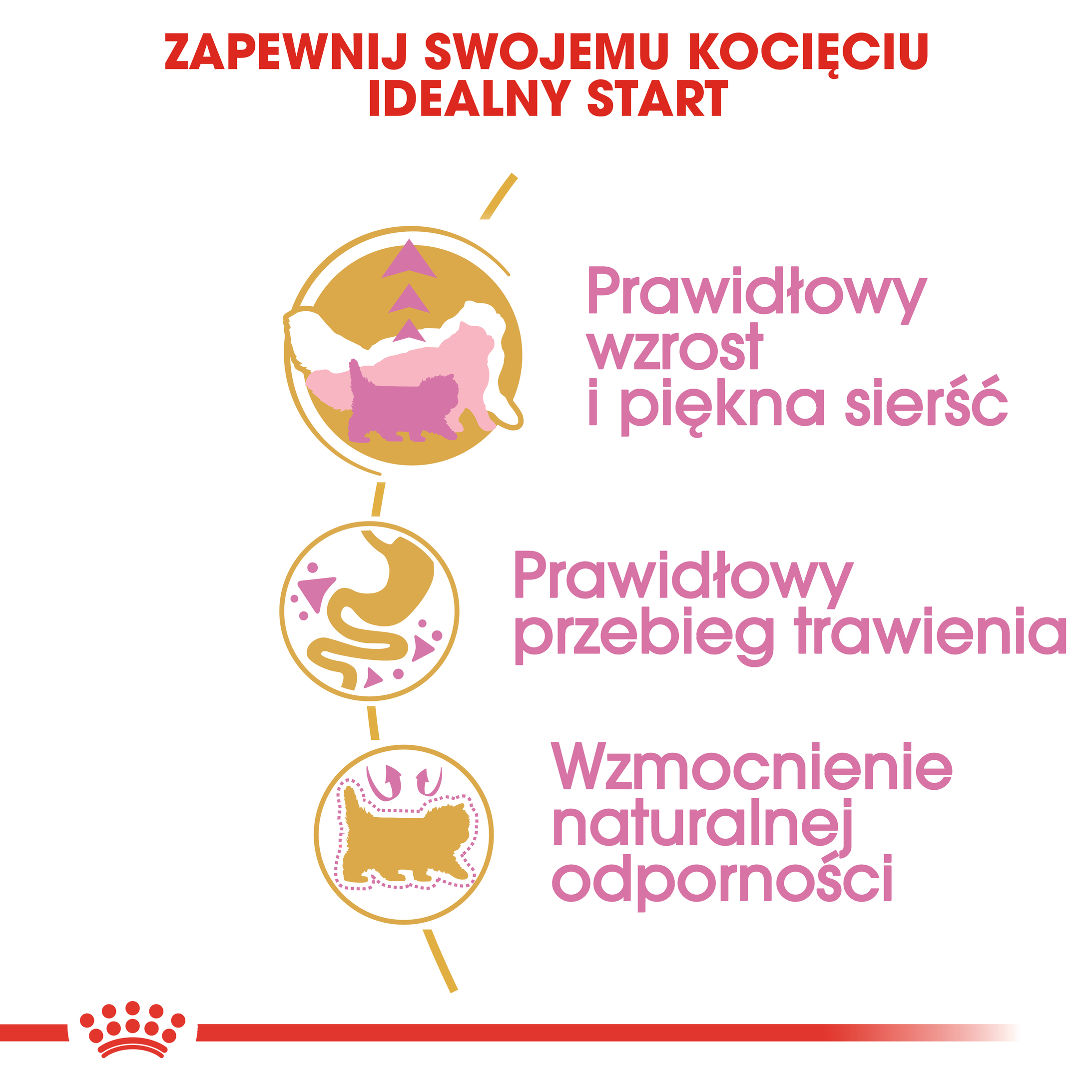 ROYAL CANIN Persian Kitten karma sucha dla kociąt - Image 5