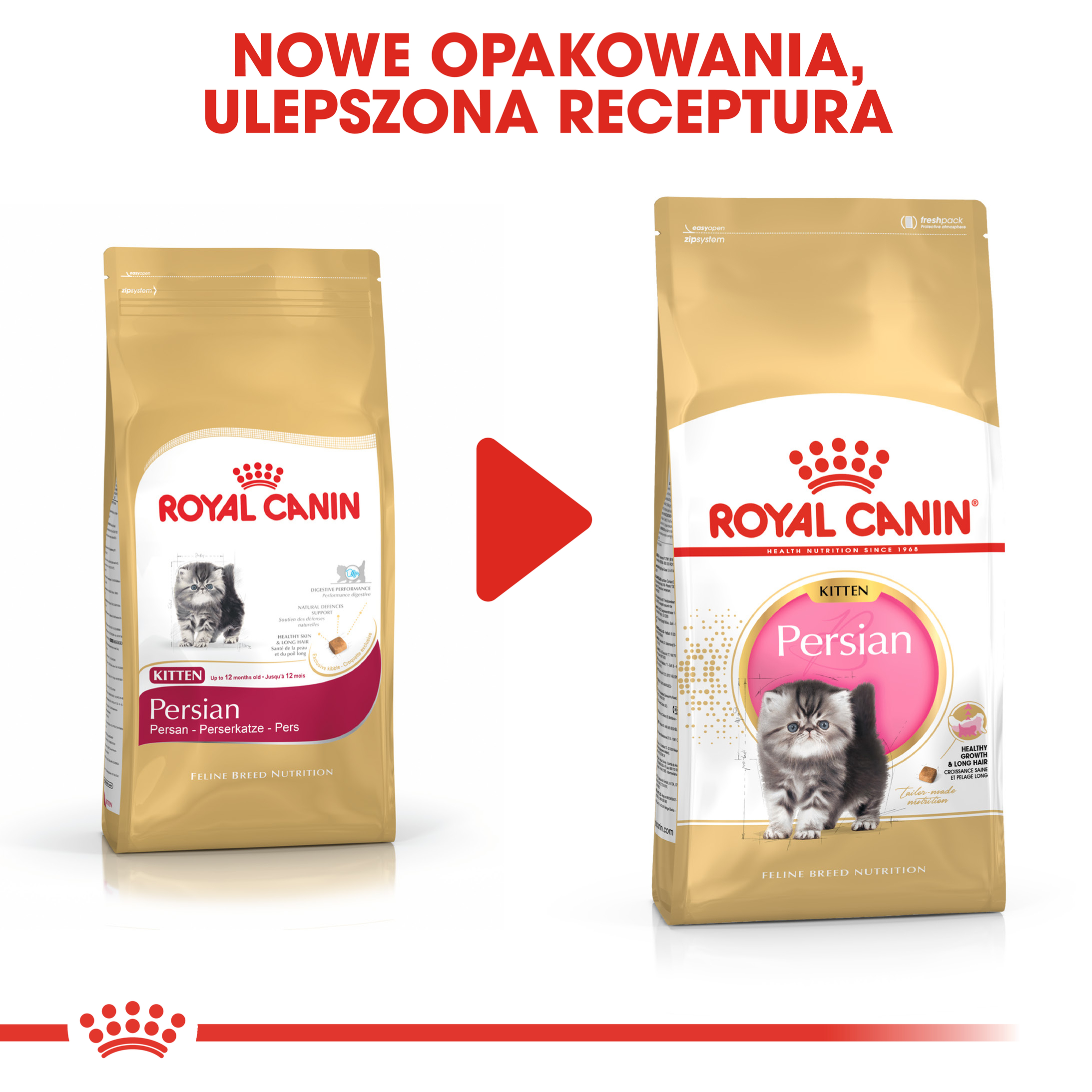 ROYAL CANIN Persian Kitten karma sucha dla kociąt - Image 8