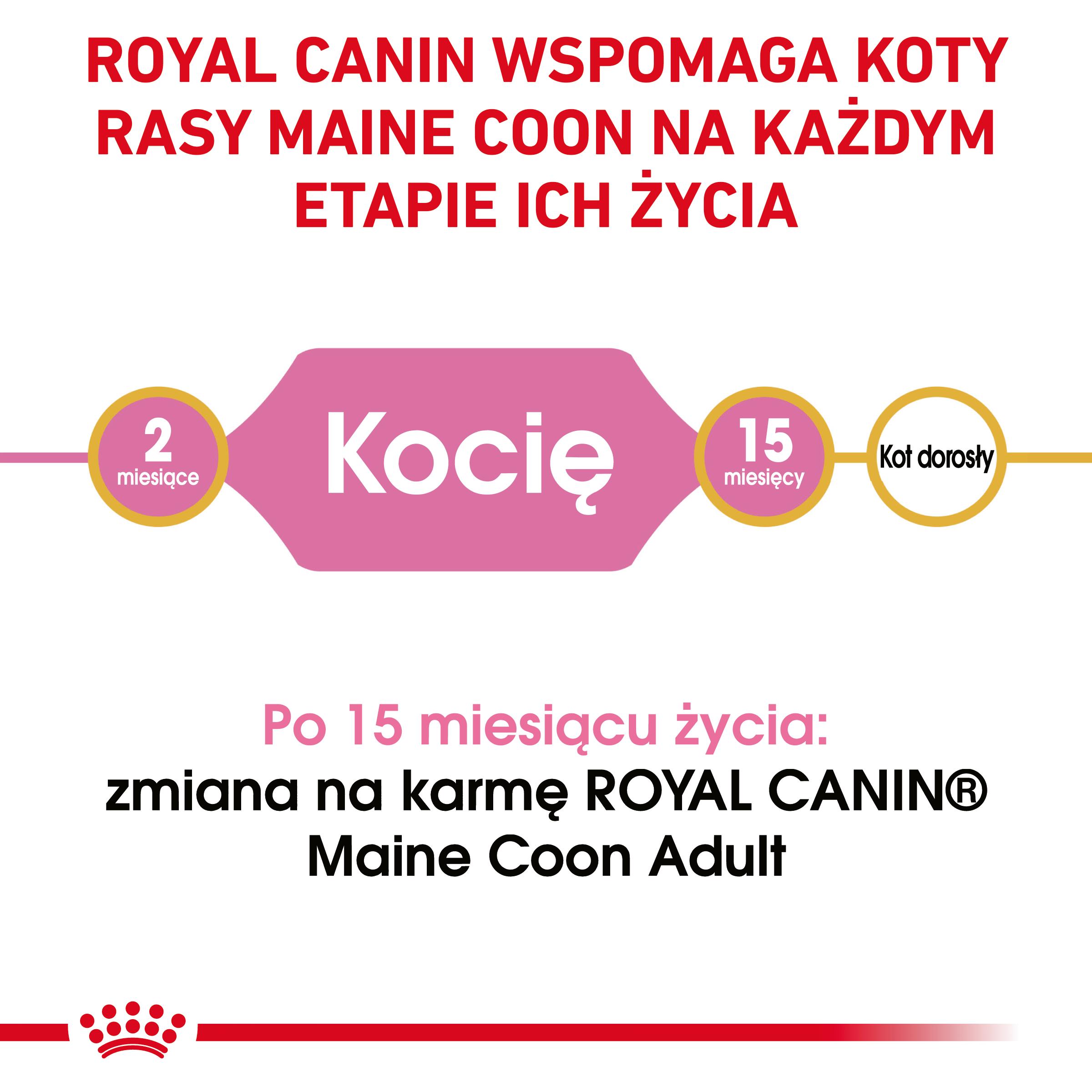 ROYAL CANIN Maine Coon Kitten karma sucha dla kociąt - Image 2