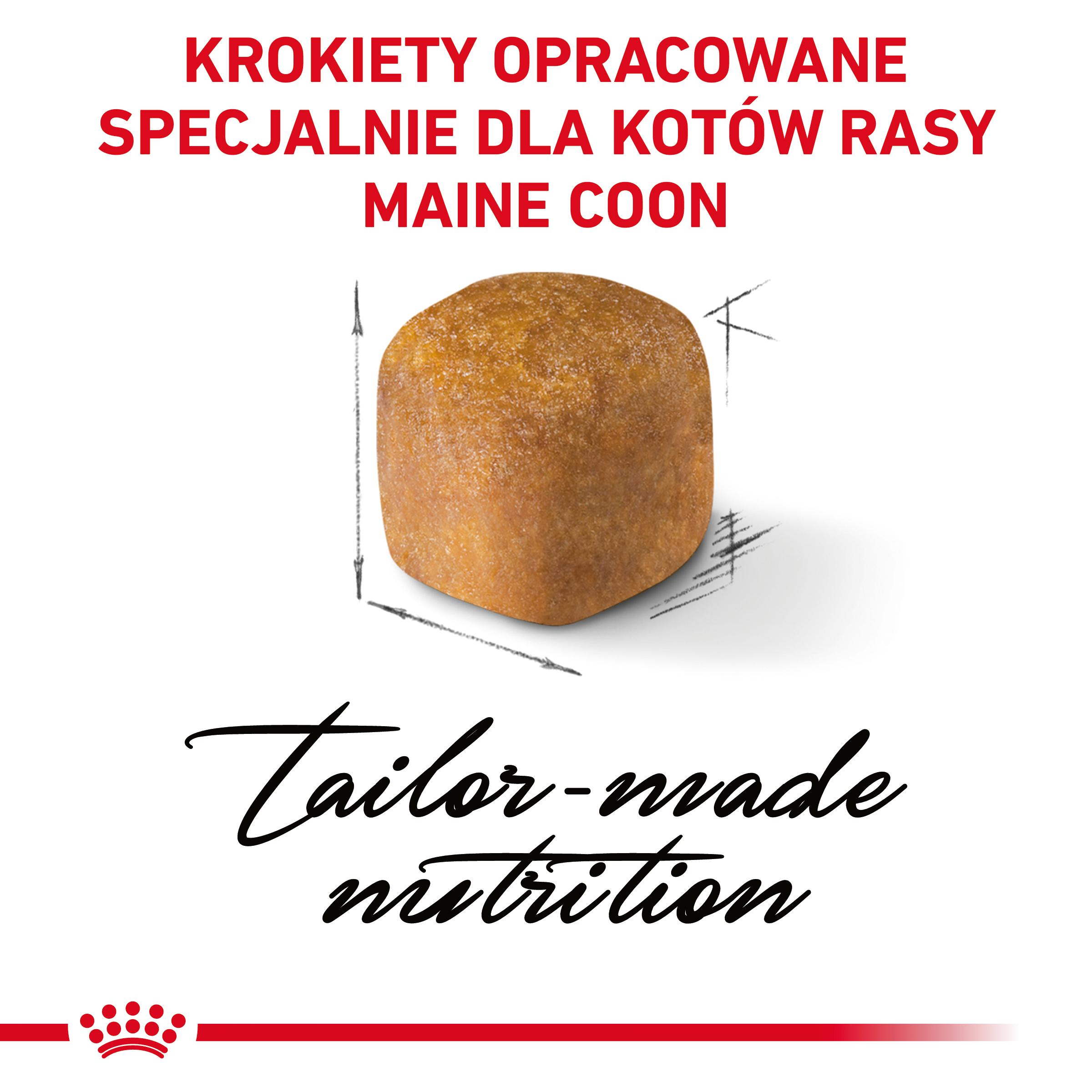 ROYAL CANIN Maine Coon Kitten karma sucha dla kociąt - Image 4