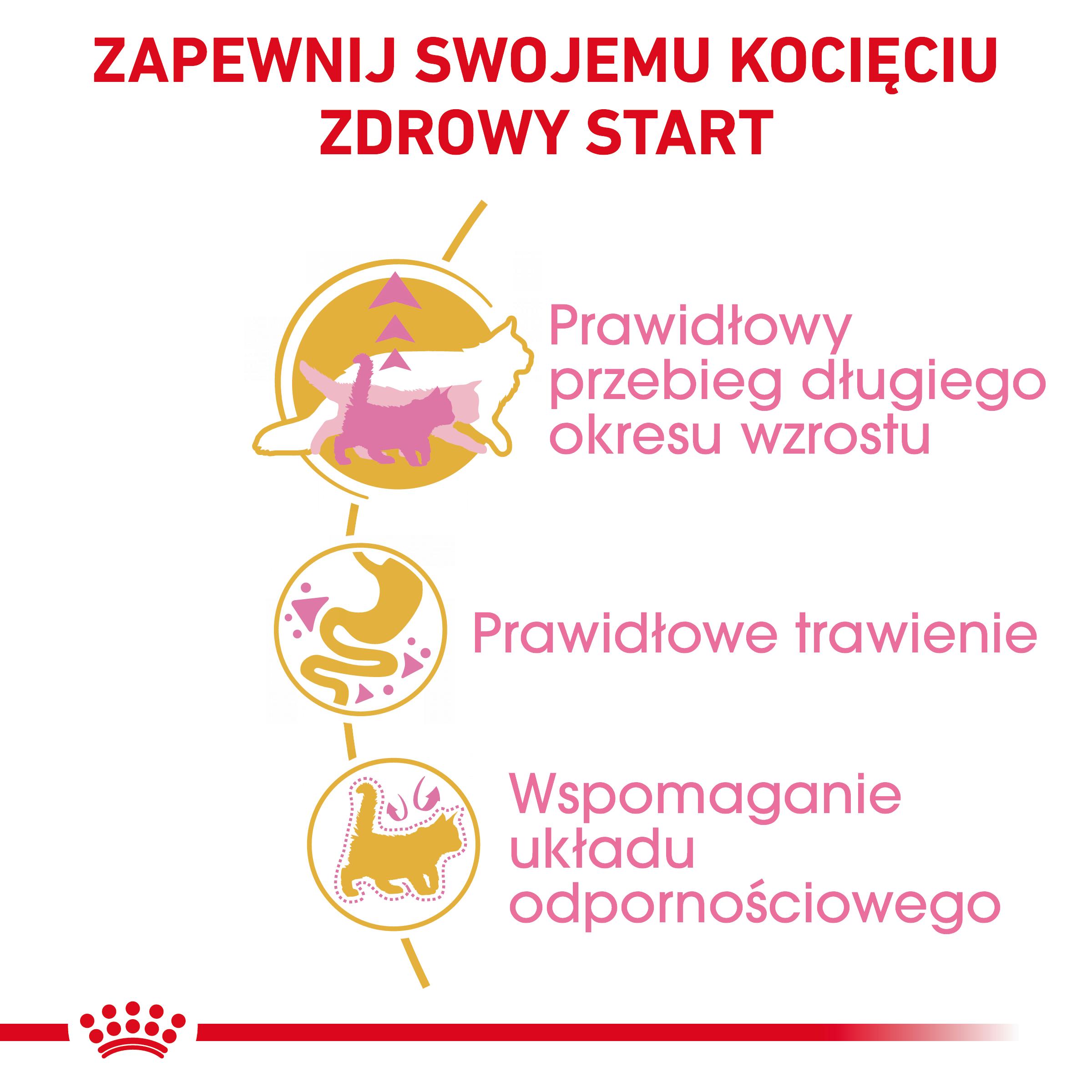 ROYAL CANIN Maine Coon Kitten karma sucha dla kociąt - Image 5