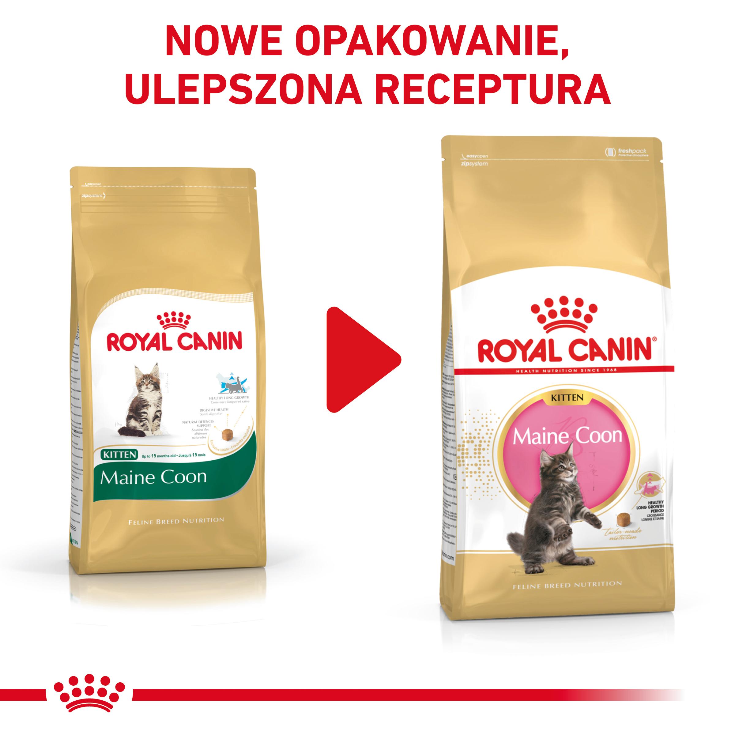 ROYAL CANIN Maine Coon Kitten karma sucha dla kociąt - Image 7