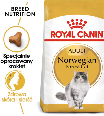 ROYAL CANIN Norvegian Forest Cat Adult karma sucha dla kotów