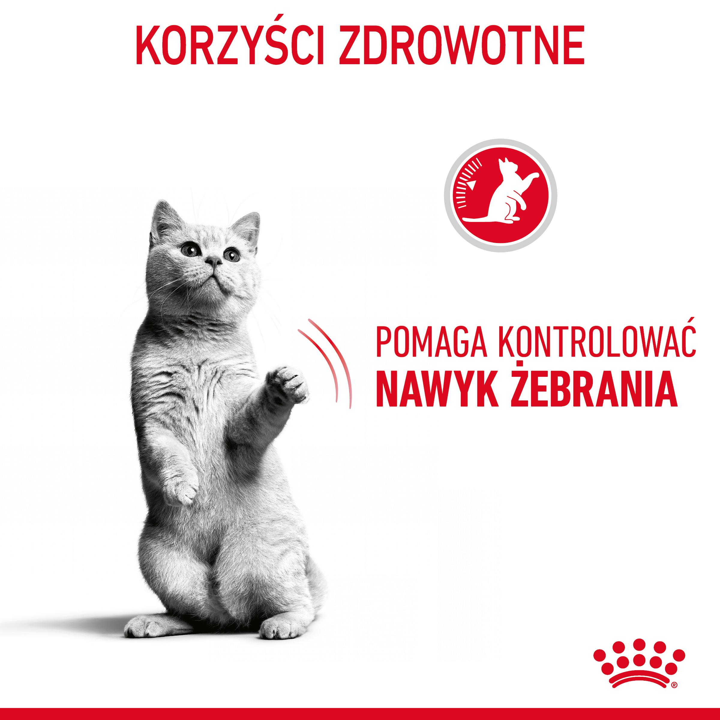 ROYAL CANIN® Appetite Control - Image 4