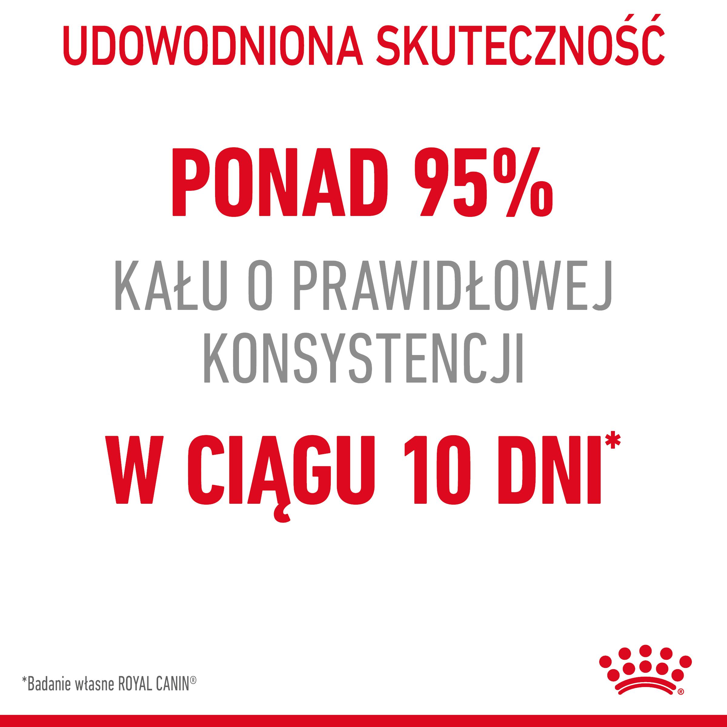 ROYAL CANIN® Digestive Care karma sucha dla kotów dorosłych wspierająca prawidłowe trawienie - Image 3