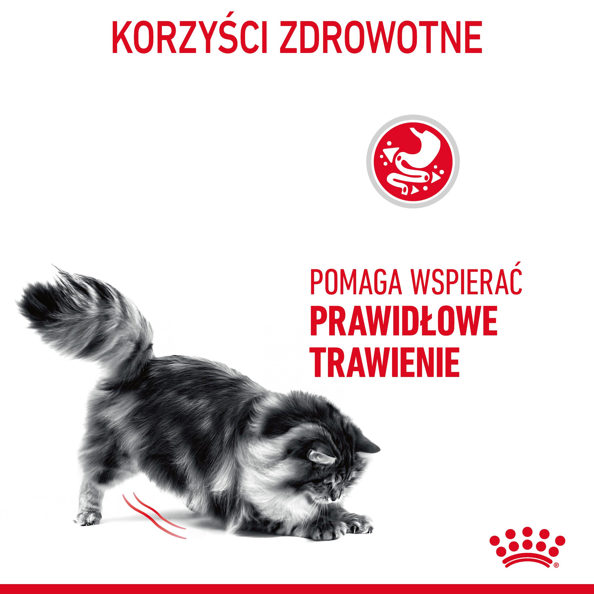 ROYAL CANIN® Digestive Care karma sucha dla kotów dorosłych wspierająca prawidłowe trawienie - Image 4