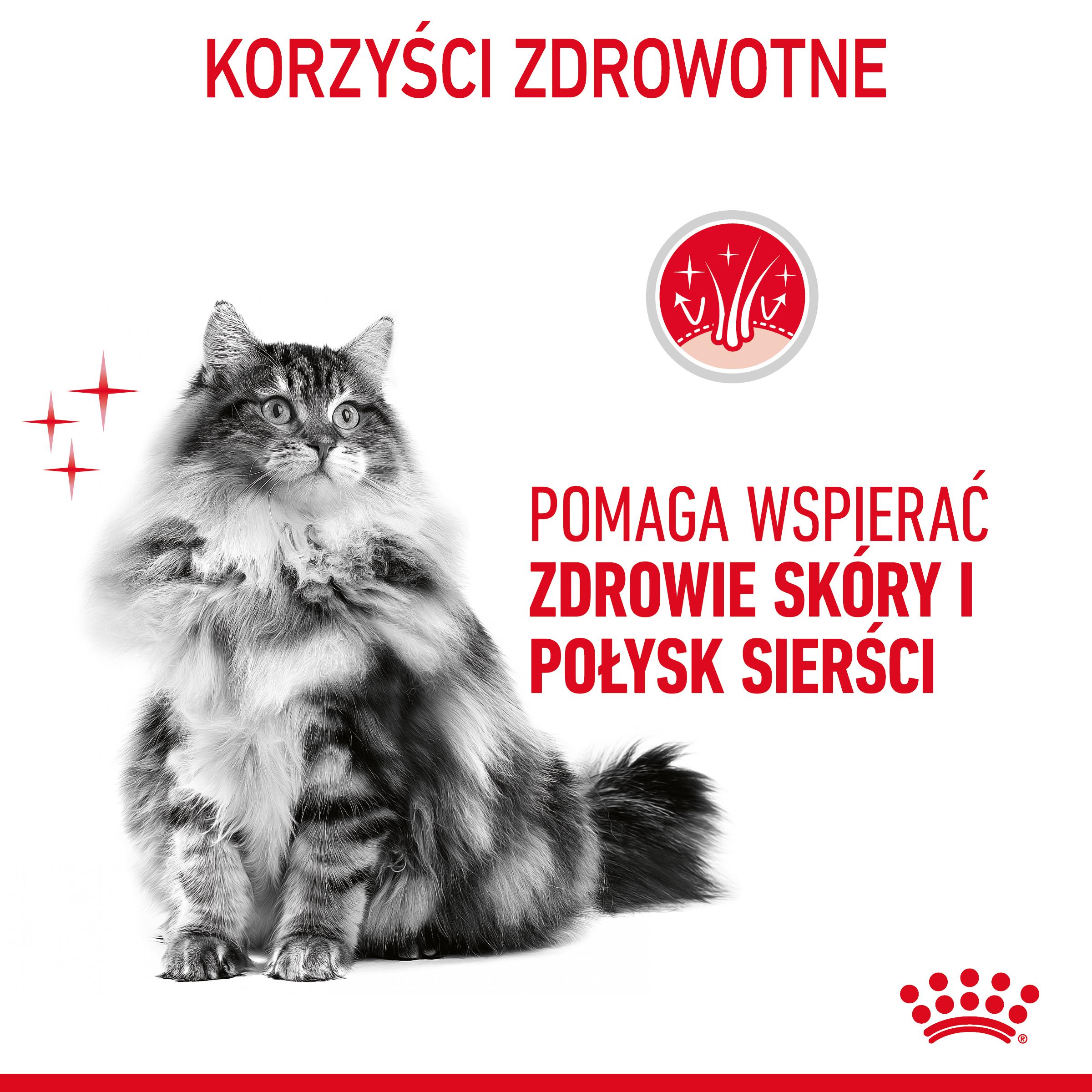 ROYAL CANIN® Hair&Skin Care karma sucha dla kotów dorosłych, lśniąca sierść i zdrowa skóra - Image 4