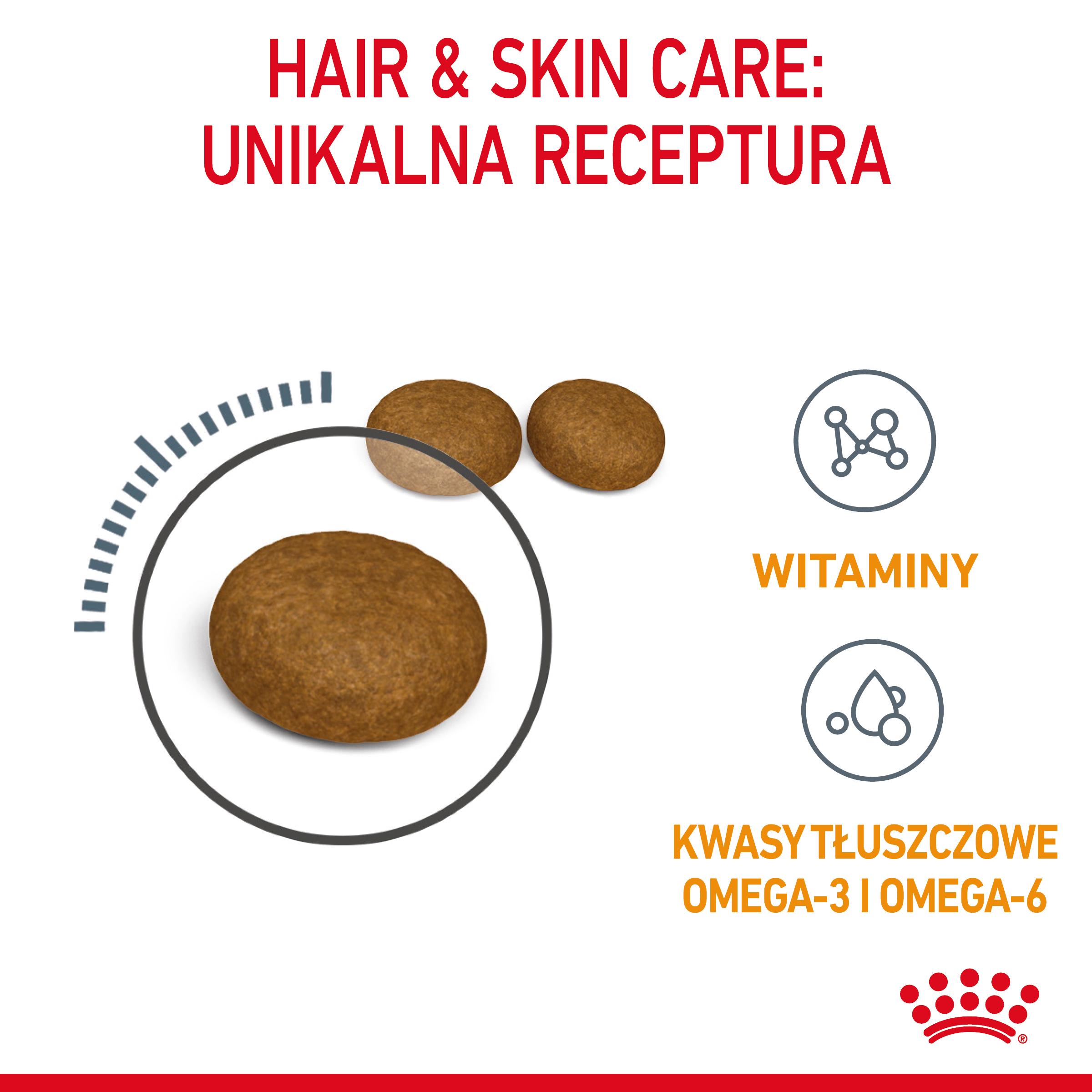 ROYAL CANIN® Hair&Skin Care karma sucha dla kotów dorosłych, lśniąca sierść i zdrowa skóra - Image 5