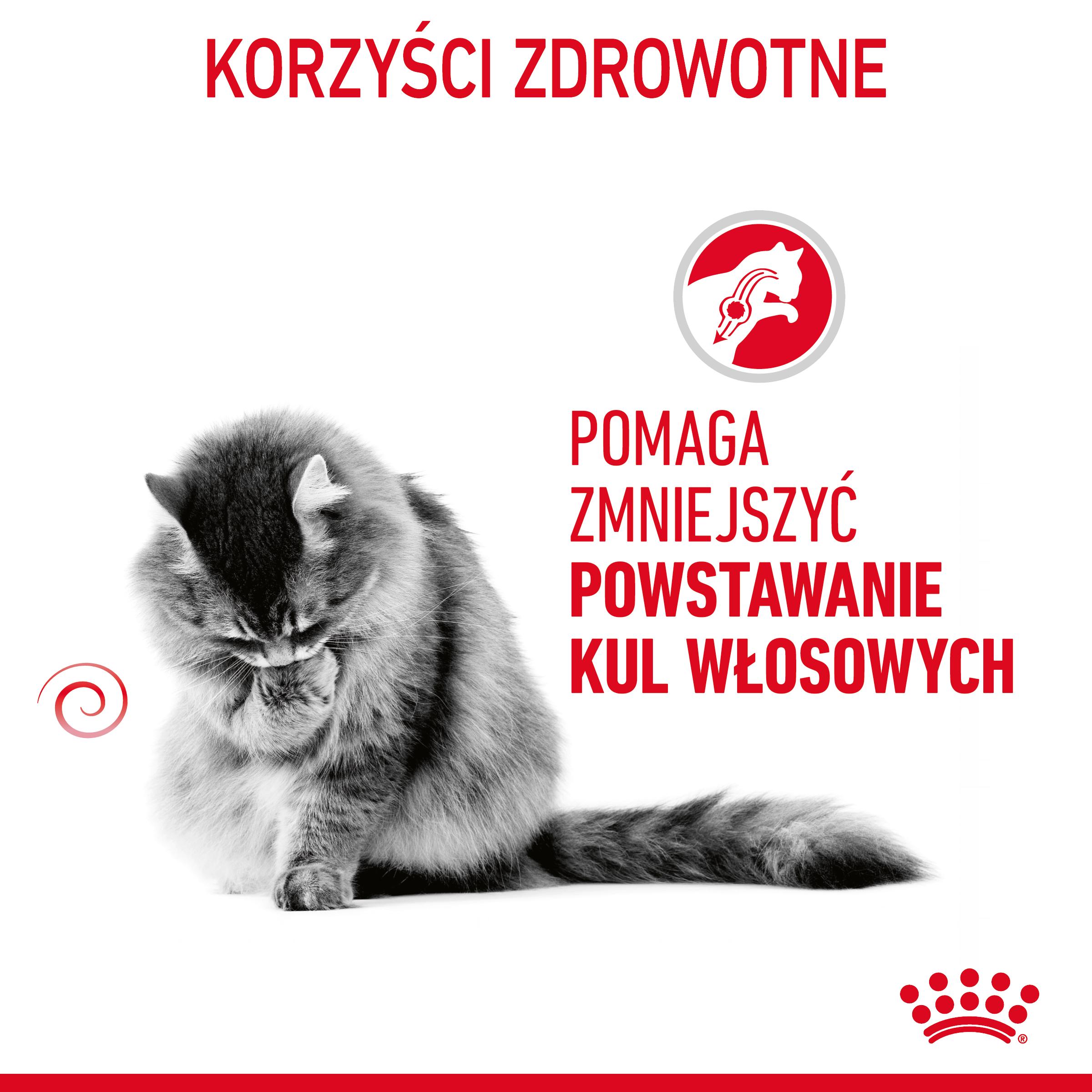 ROYAL CANIN® Hairball Care karma sucha dla kotów dorosłych, eliminacja kul włosowych - Image 4