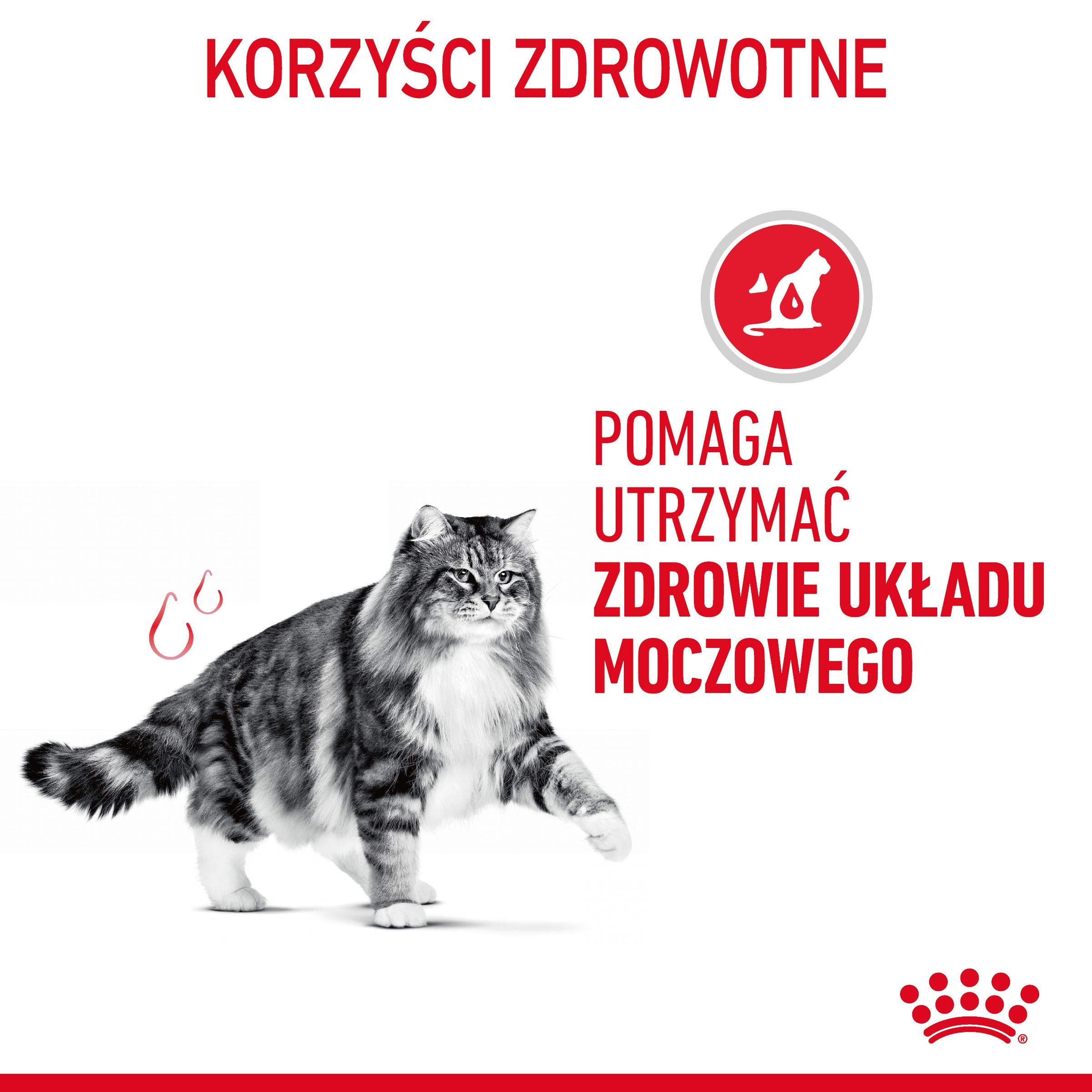 ROYAL CANIN® Urinary Care karma sucha dla kotów dorosłych - Image 4