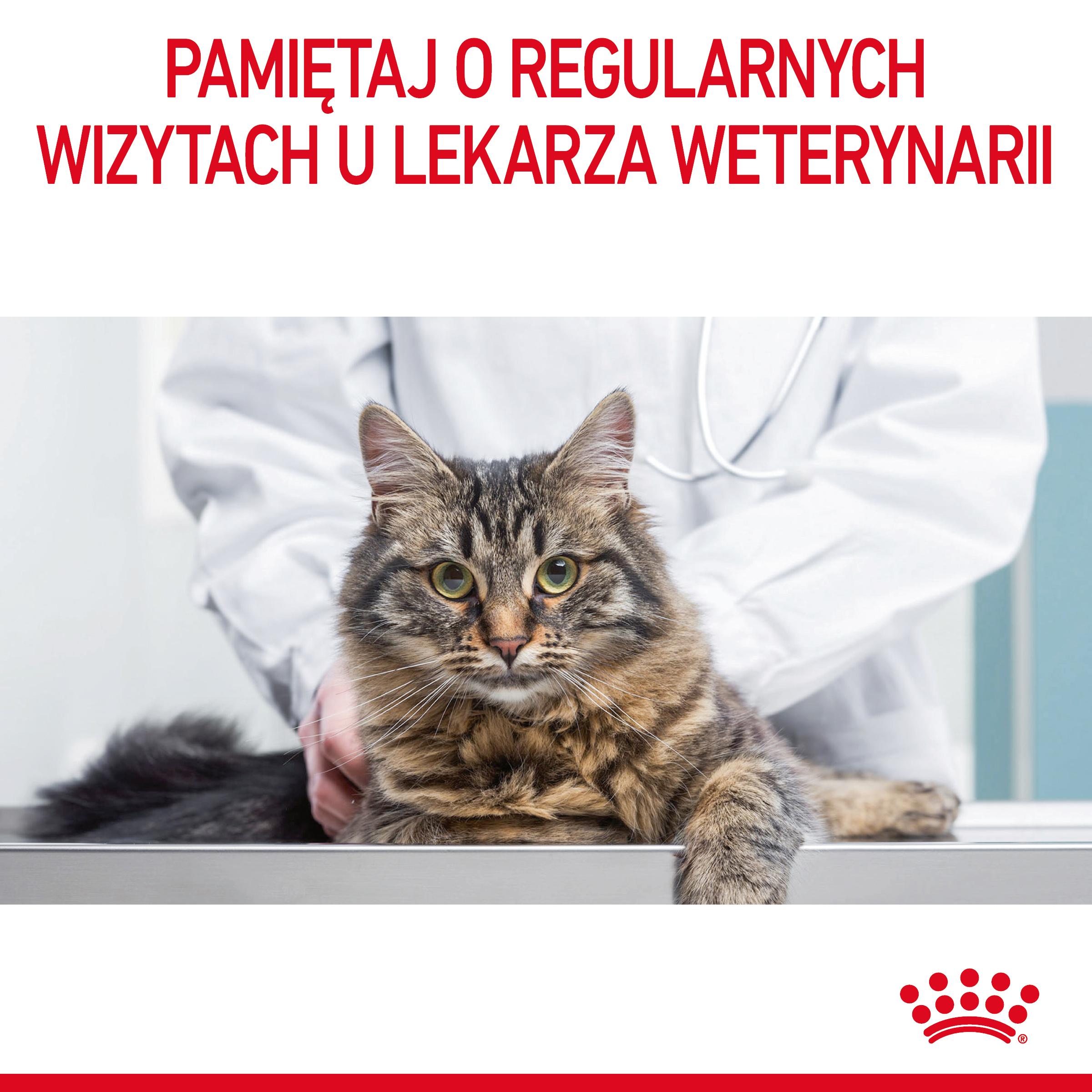 ROYAL CANIN® Urinary Care karma sucha dla kotów dorosłych - Image 11