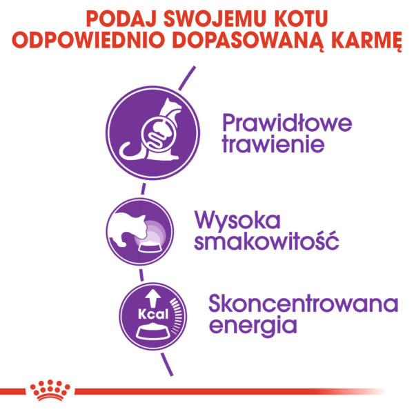 ROYAL CANIN® Sensible 33 karma sucha dla kotów dorosłych - Image 3