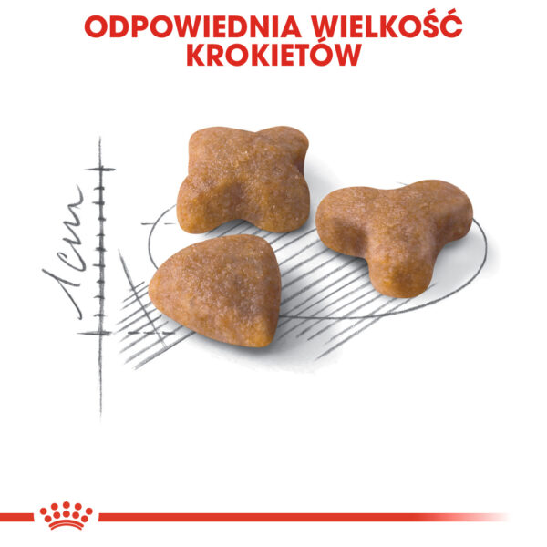 ROYAL CANIN® Sensible 33 karma sucha dla kotów dorosłych - Image 4