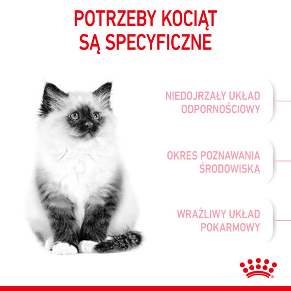ROYAL CANIN Kitten karma sucha dla kociąt od 4 do 12 miesiąca życia - Image 3