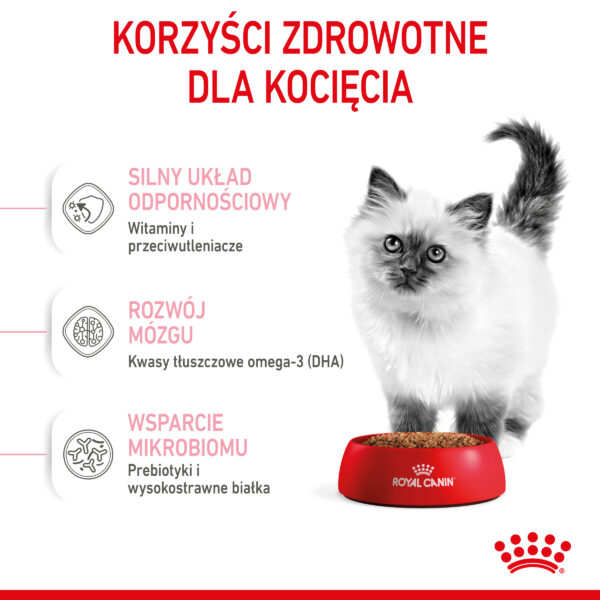 ROYAL CANIN Kitten karma sucha dla kociąt od 4 do 12 miesiąca życia - Image 4