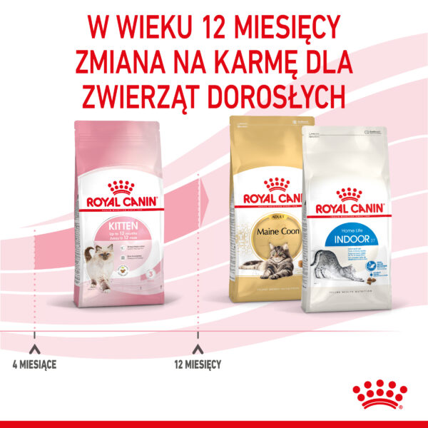 ROYAL CANIN Kitten karma sucha dla kociąt od 4 do 12 miesiąca życia - Image 10