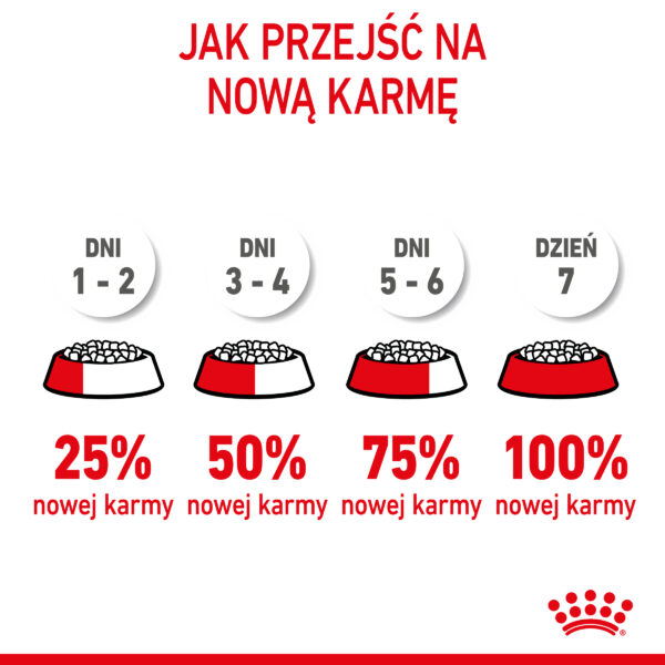 ROYAL CANIN Kitten karma sucha dla kociąt od 4 do 12 miesiąca życia - Image 9