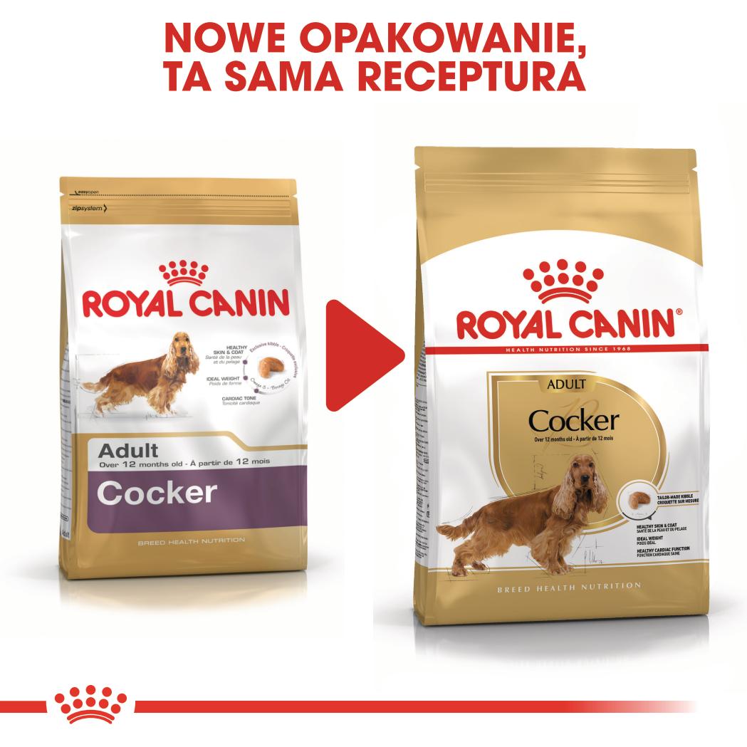 ROYAL CANIN® Cocker adult sucha karma 12kg - Image 7