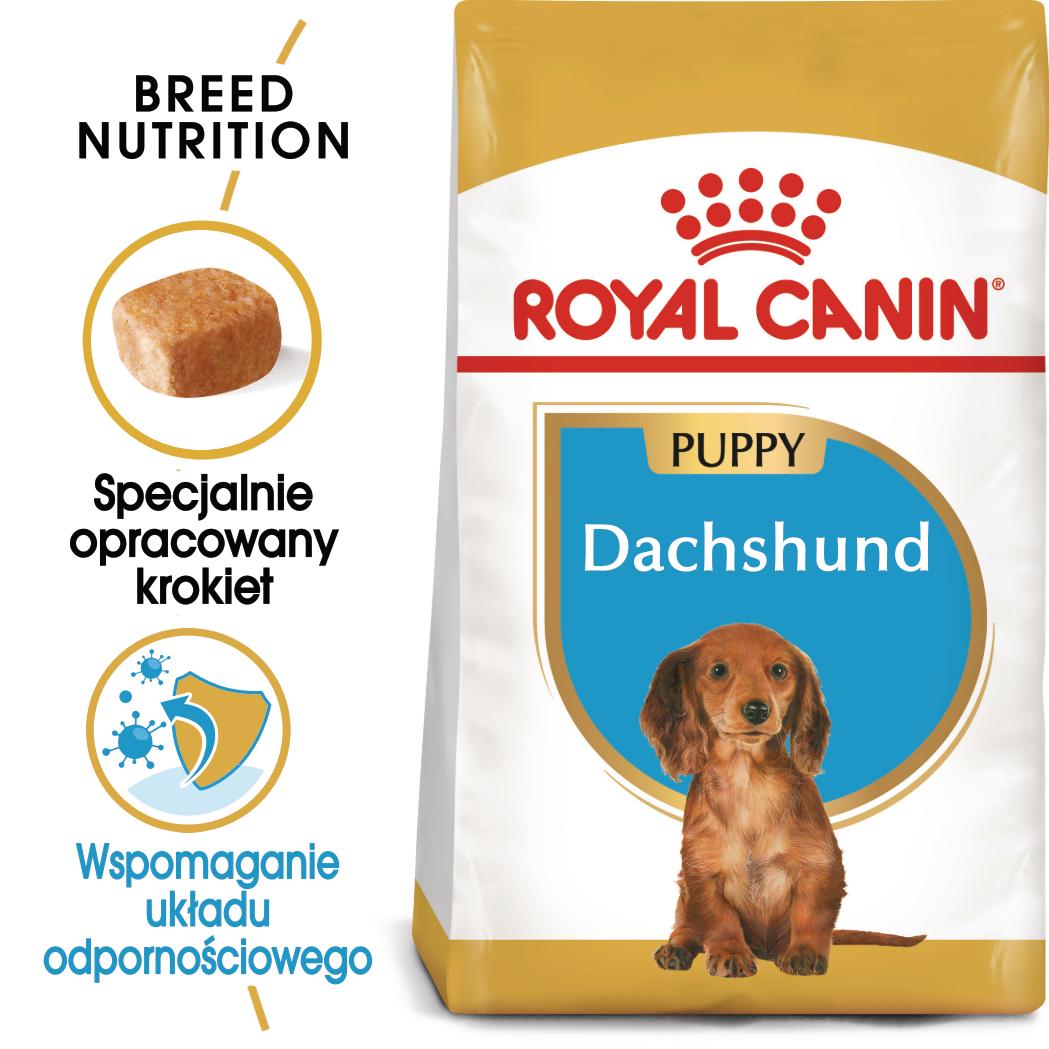 ROYAL CANIN® Dachshund Puppy karma sucha dla szczeniąt 1.5 kg