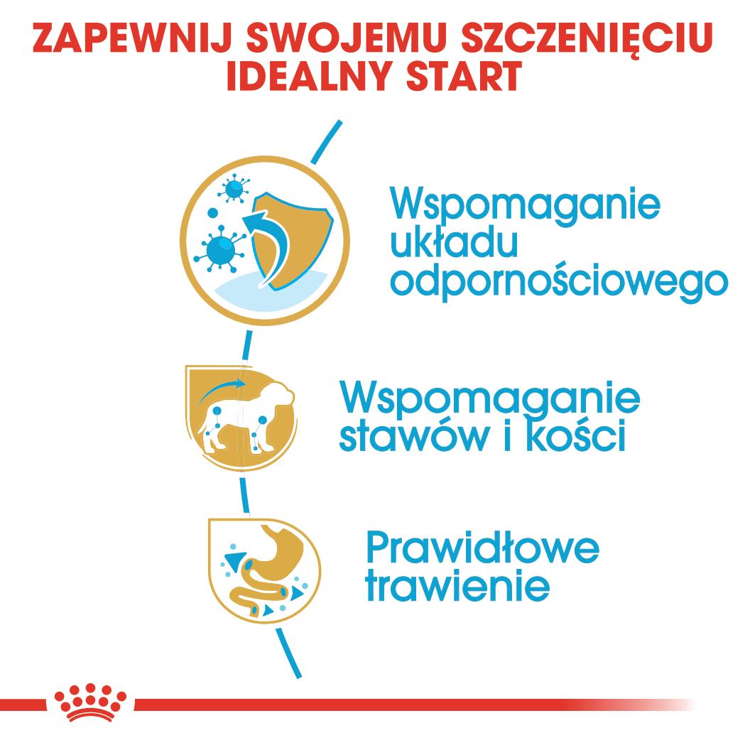 ROYAL CANIN® Dachshund Puppy karma sucha dla szczeniąt 1.5 kg - Image 4