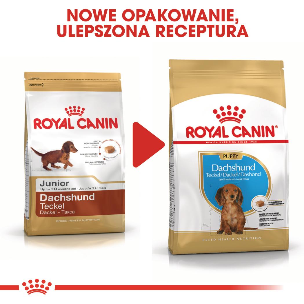 ROYAL CANIN® Dachshund Puppy karma sucha dla szczeniąt 1.5 kg - Image 7
