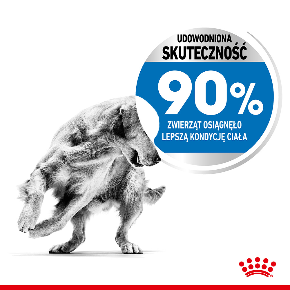 ROYAL CANIN® CCN Medium Light Care karma sucha dla psów dorosłych - Image 3
