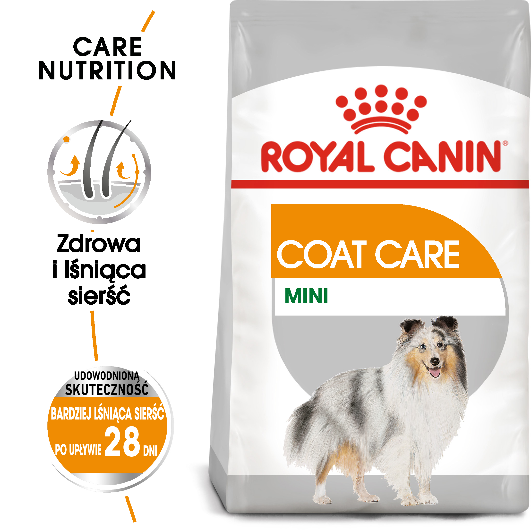ROYAL CANIN® CCN Mini Coat Care karma sucha dla psów dorosłych 8 kg