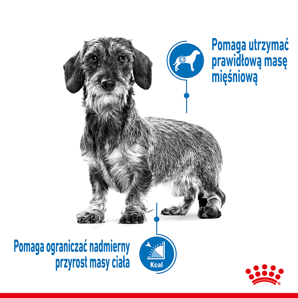 ROYAL CANIN® CCN Medium Light Care karma sucha dla psów dorosłych - Image 2