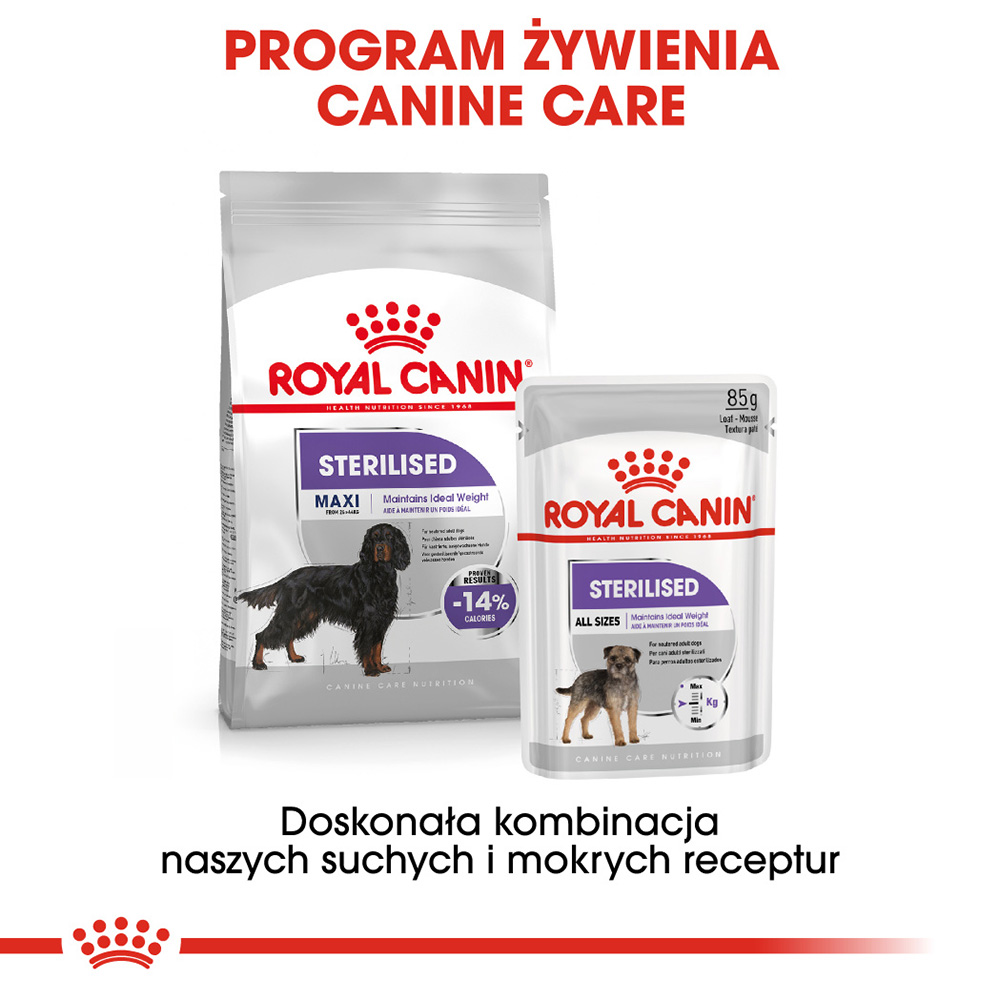 ROYAL CANIN® CCN Maxi Sterilised karma sucha dla psów dorosłych - Image 7