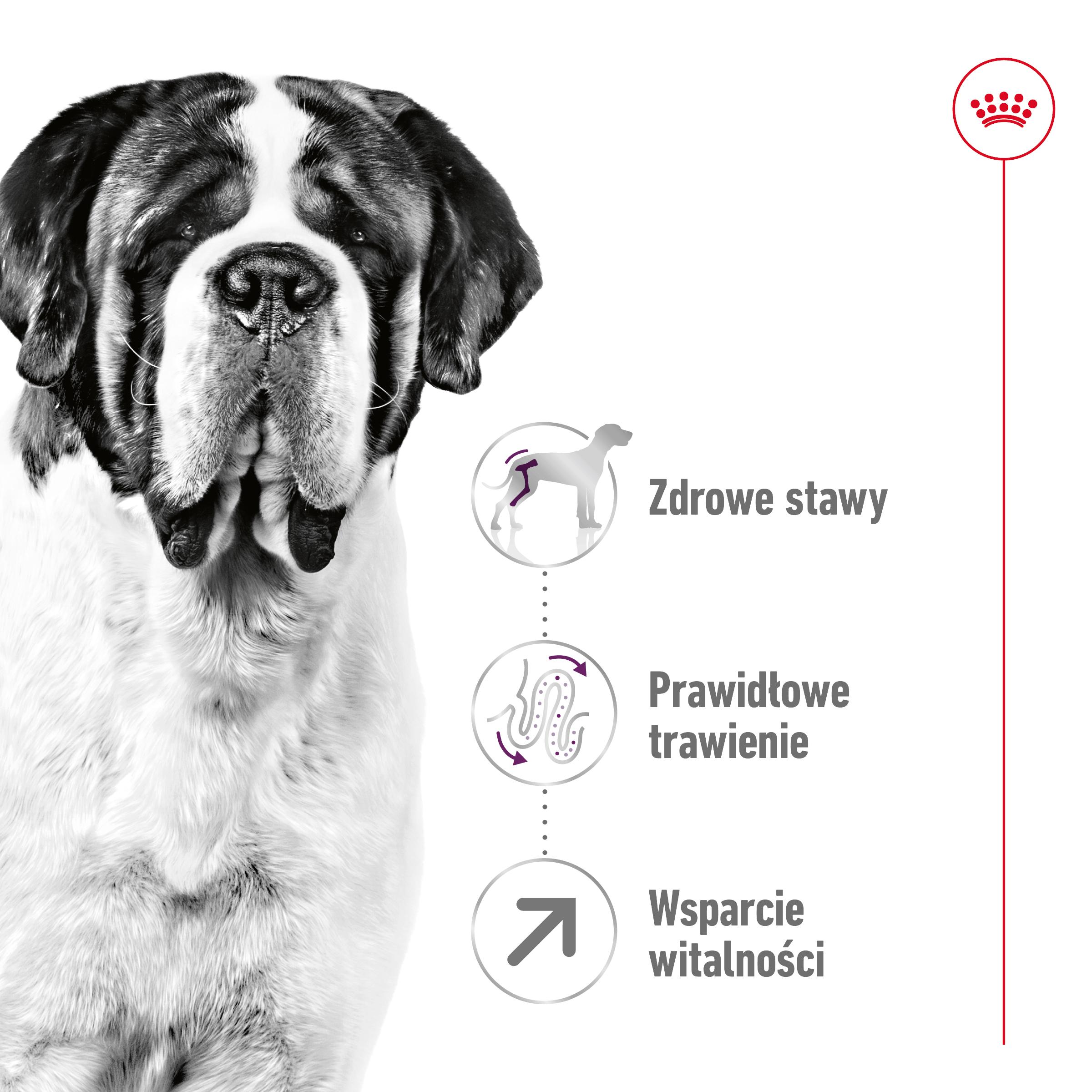 ROYAL CANIN® Giant Adult 15kg karma sucha dla psów dorosłych 15 kg - Image 3
