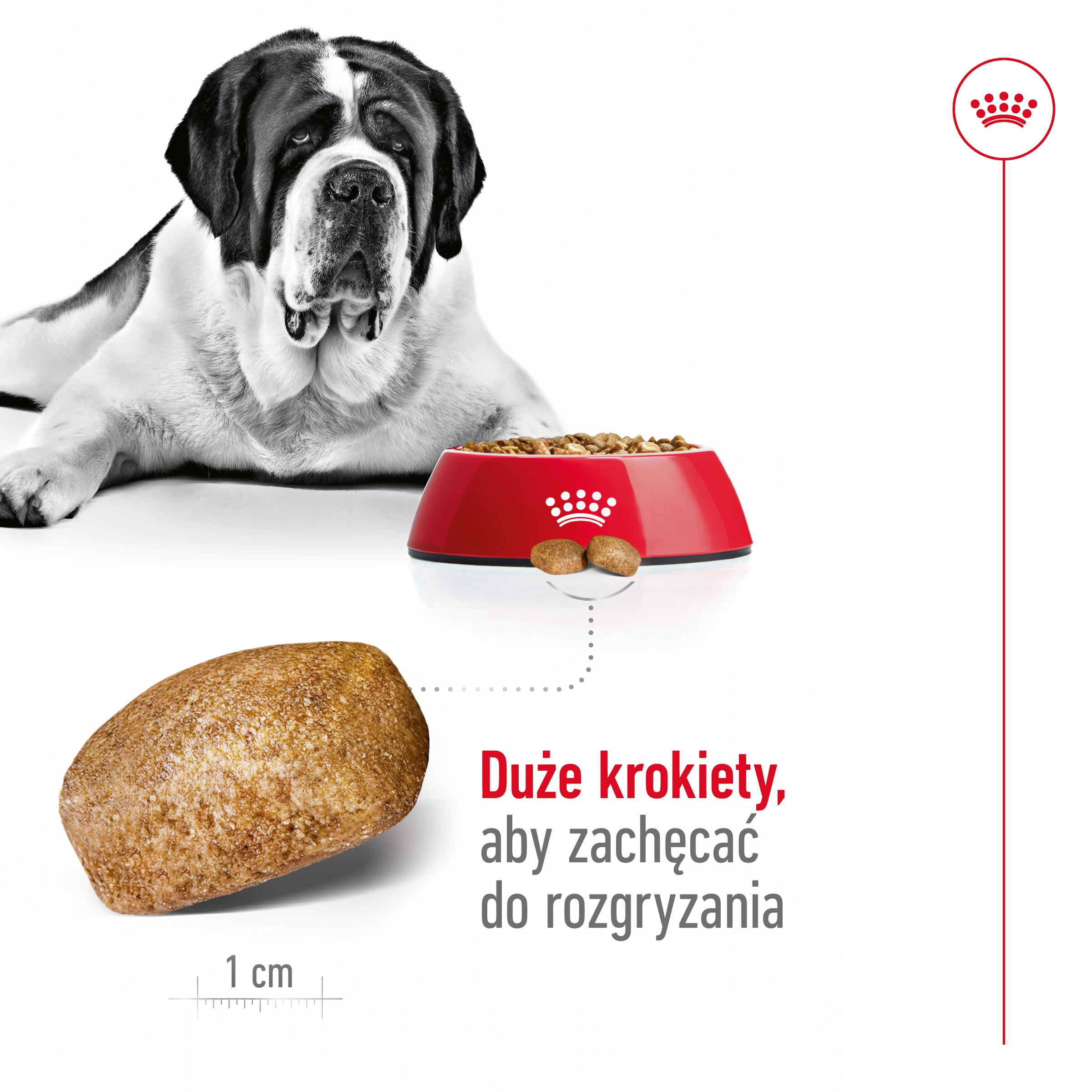 ROYAL CANIN® Giant Adult 15kg karma sucha dla psów dorosłych 15 kg - Image 6