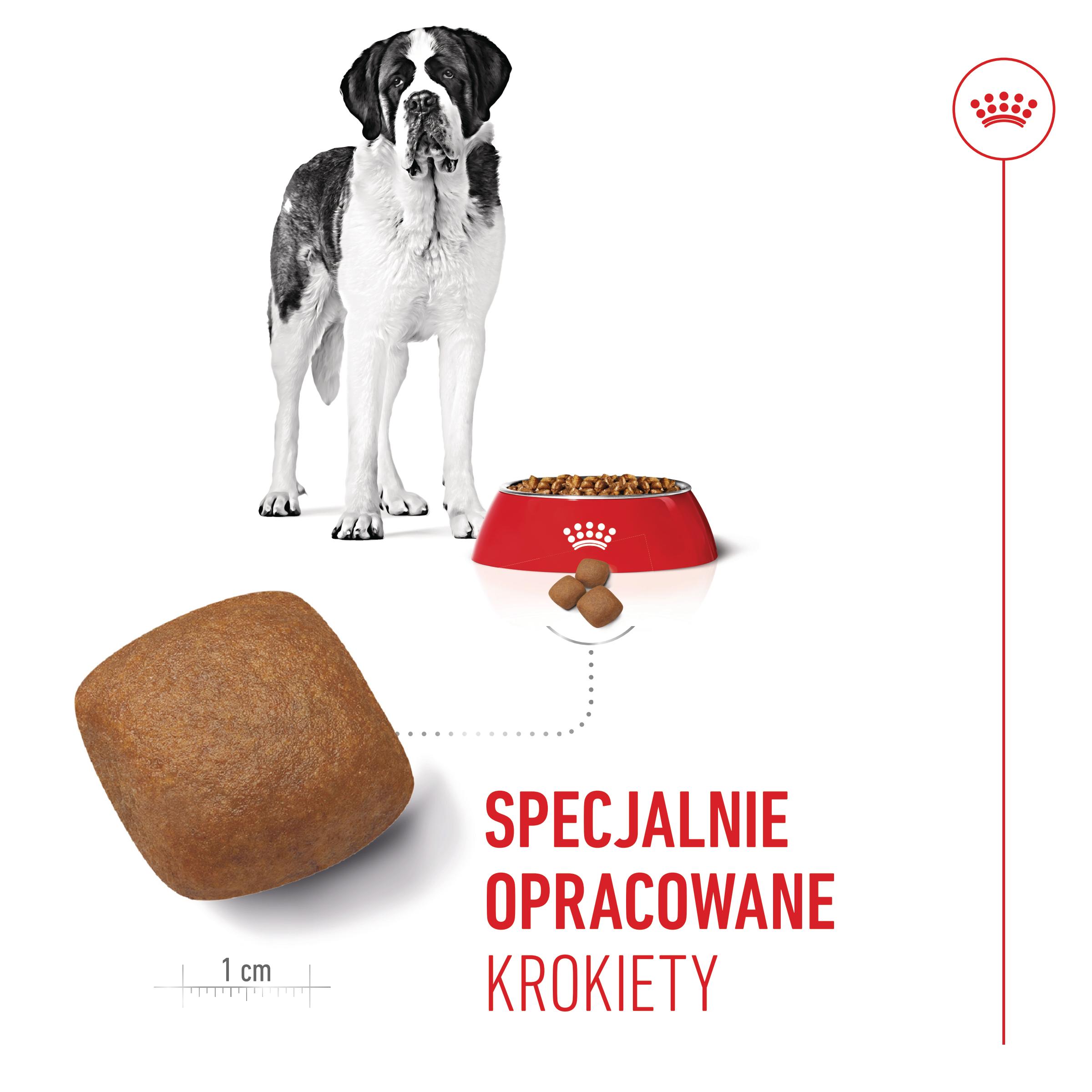 ROYAL CANIN® Giant Junior 15 kg karma sucha dla szczeniąt - Image 2