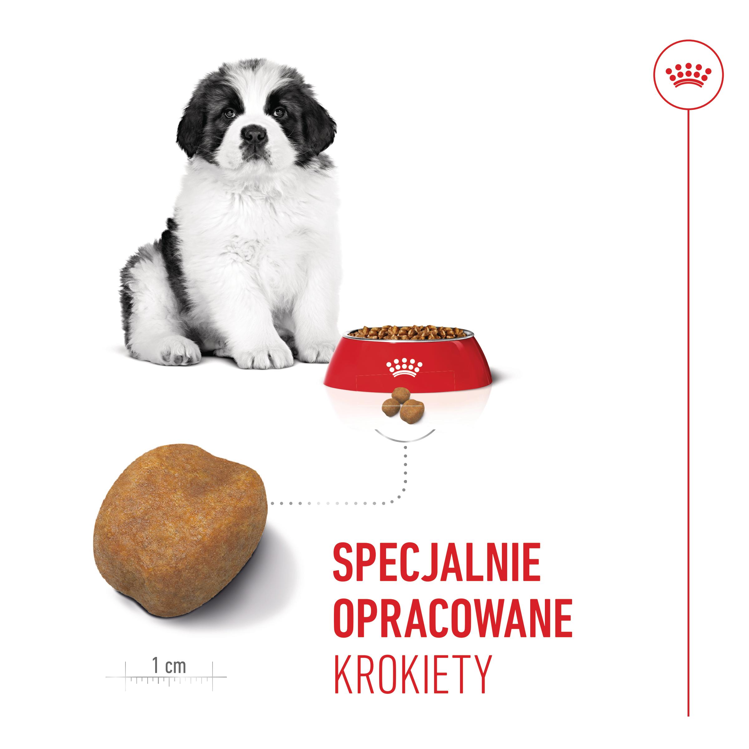 ROYAL CANIN® Giant Puppy 15kg karma sucha dla szczeniąt 15 kg - Image 4