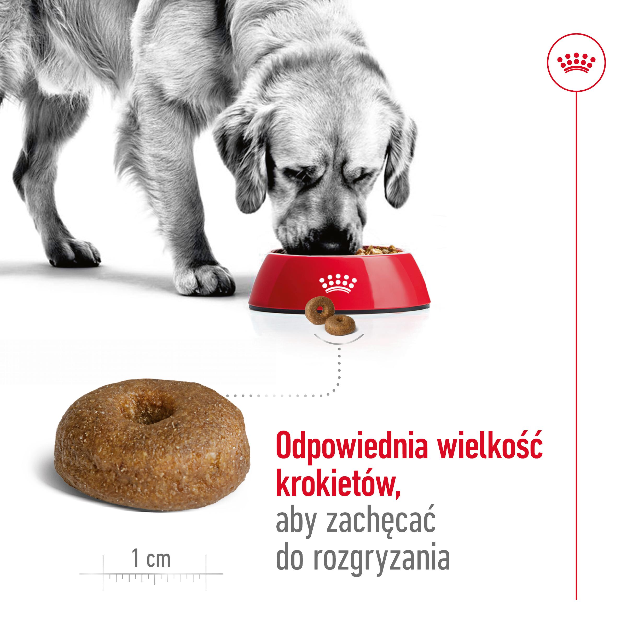 ROYAL CANIN® Maxi Ageing 8+ karma sucha dla psów starszych 15 kg - Image 4