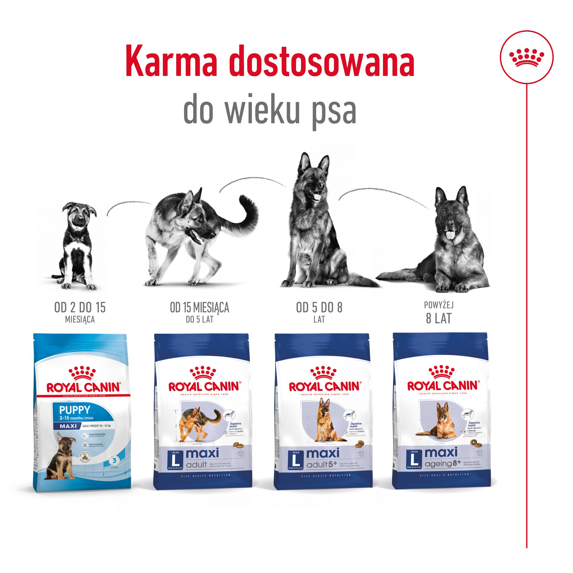 ROYAL CANIN® Maxi Ageing 8+ karma sucha dla psów starszych 15 kg - Image 5