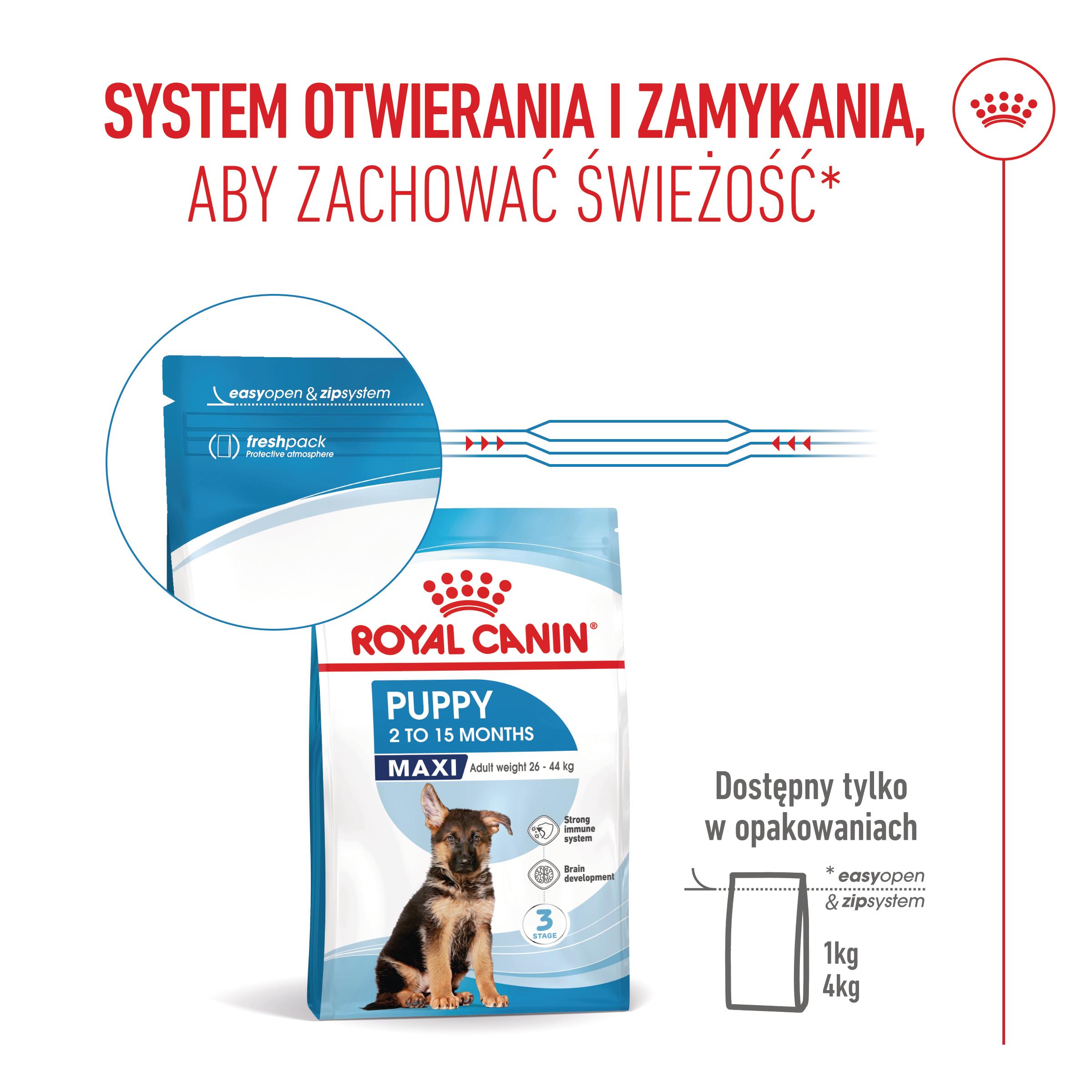 ROYAL CANIN® Maxi Puppy karma sucha dla szczeniąt, od 2 do 15 miesiąca życia, ras dużych - Image 11