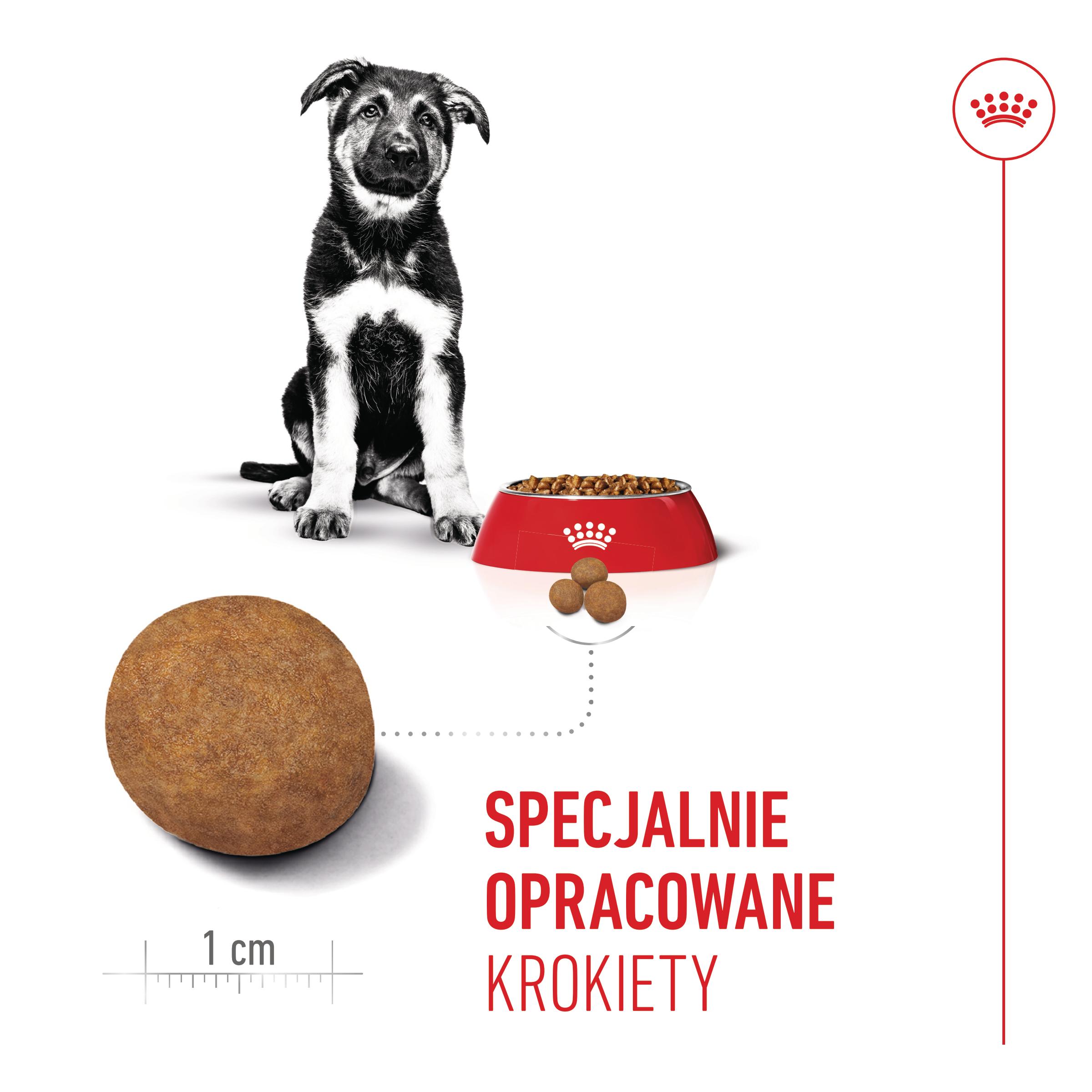 ROYAL CANIN® Maxi Puppy karma sucha dla szczeniąt, od 2 do 15 miesiąca życia, ras dużych - Image 4