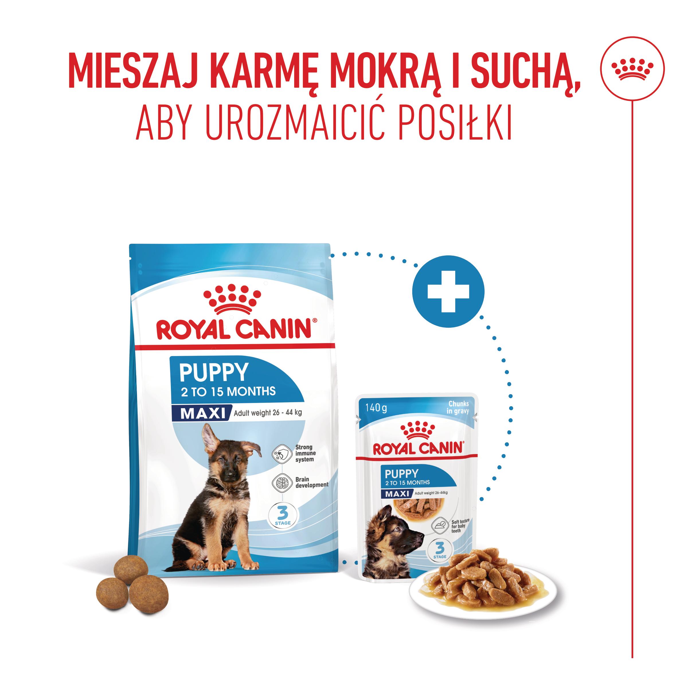 ROYAL CANIN® Maxi Puppy karma sucha dla szczeniąt, od 2 do 15 miesiąca życia, ras dużych - Image 5