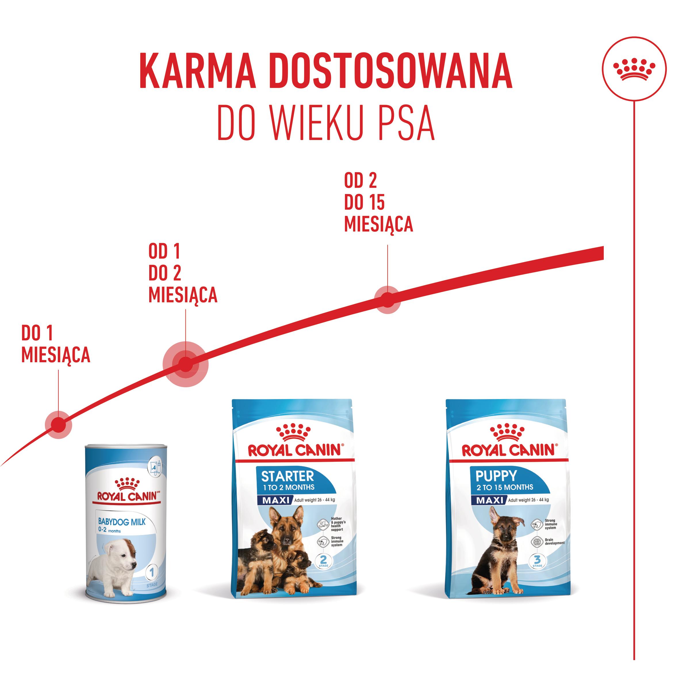 ROYAL CANIN® Maxi Starter Mother&Babydog karma sucha dla suk w ciąży i okresie laktacji oraz szczeniąt - Image 6