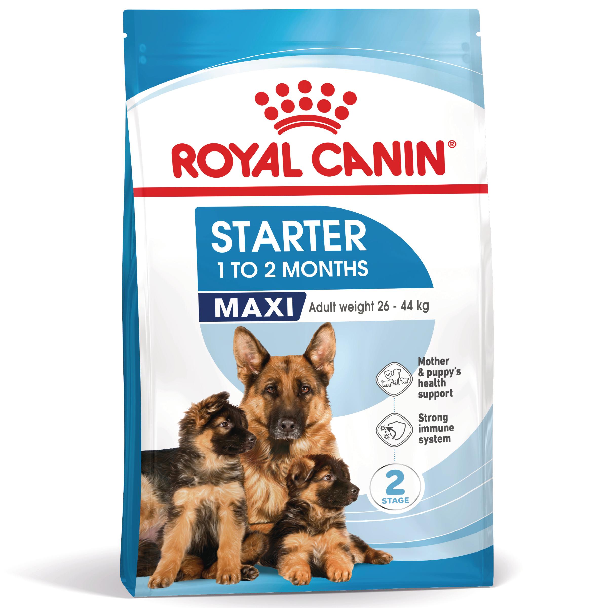 ROYAL CANIN® Maxi Starter Mother&Babydog karma sucha dla suk w ciąży i okresie laktacji oraz szczeniąt