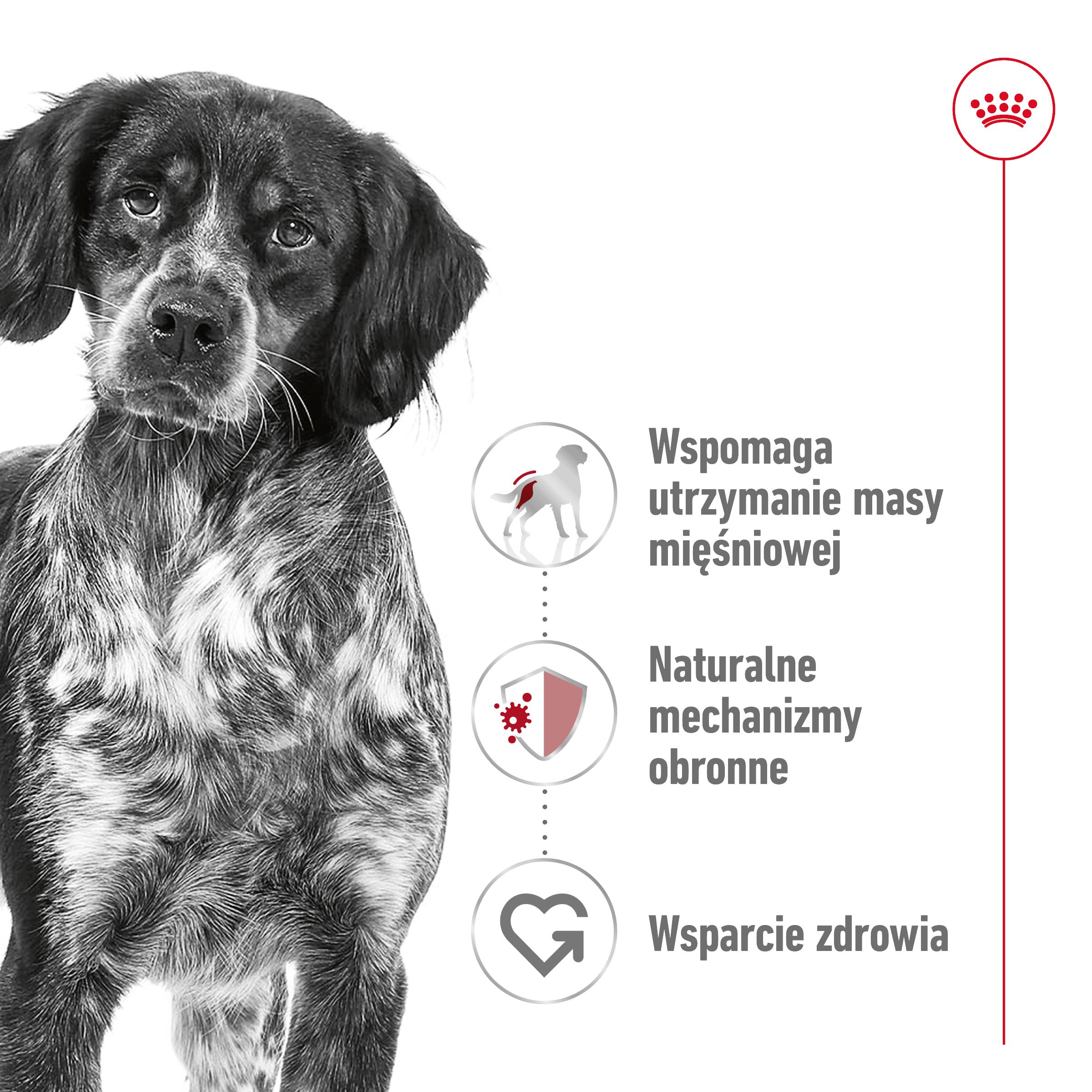 ROYAL CANIN® Medium Adult karma sucha dla psów dorosłych, ras średnich - Image 2