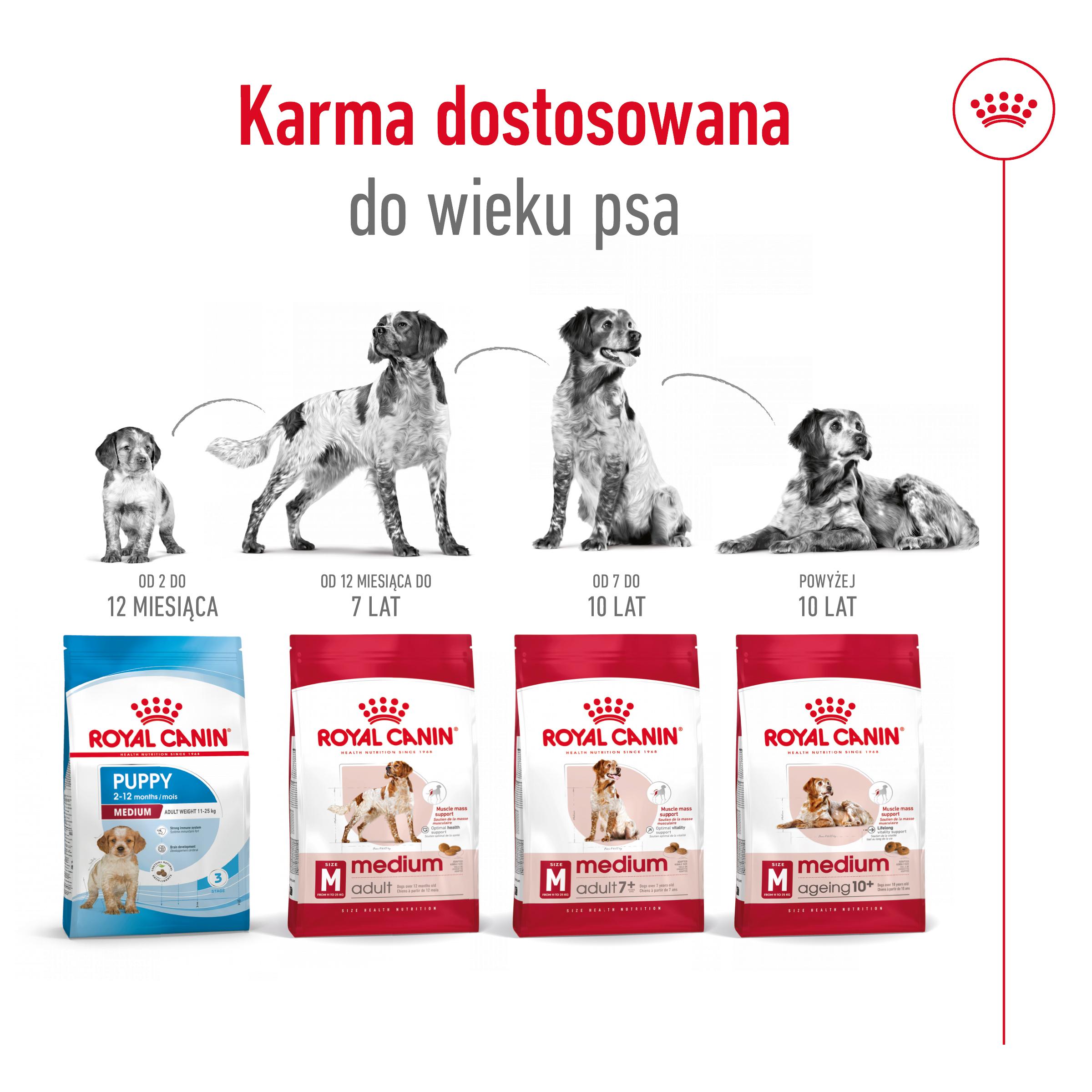 ROYAL CANIN® Medium Adult karma sucha dla psów dorosłych, ras średnich - Image 5